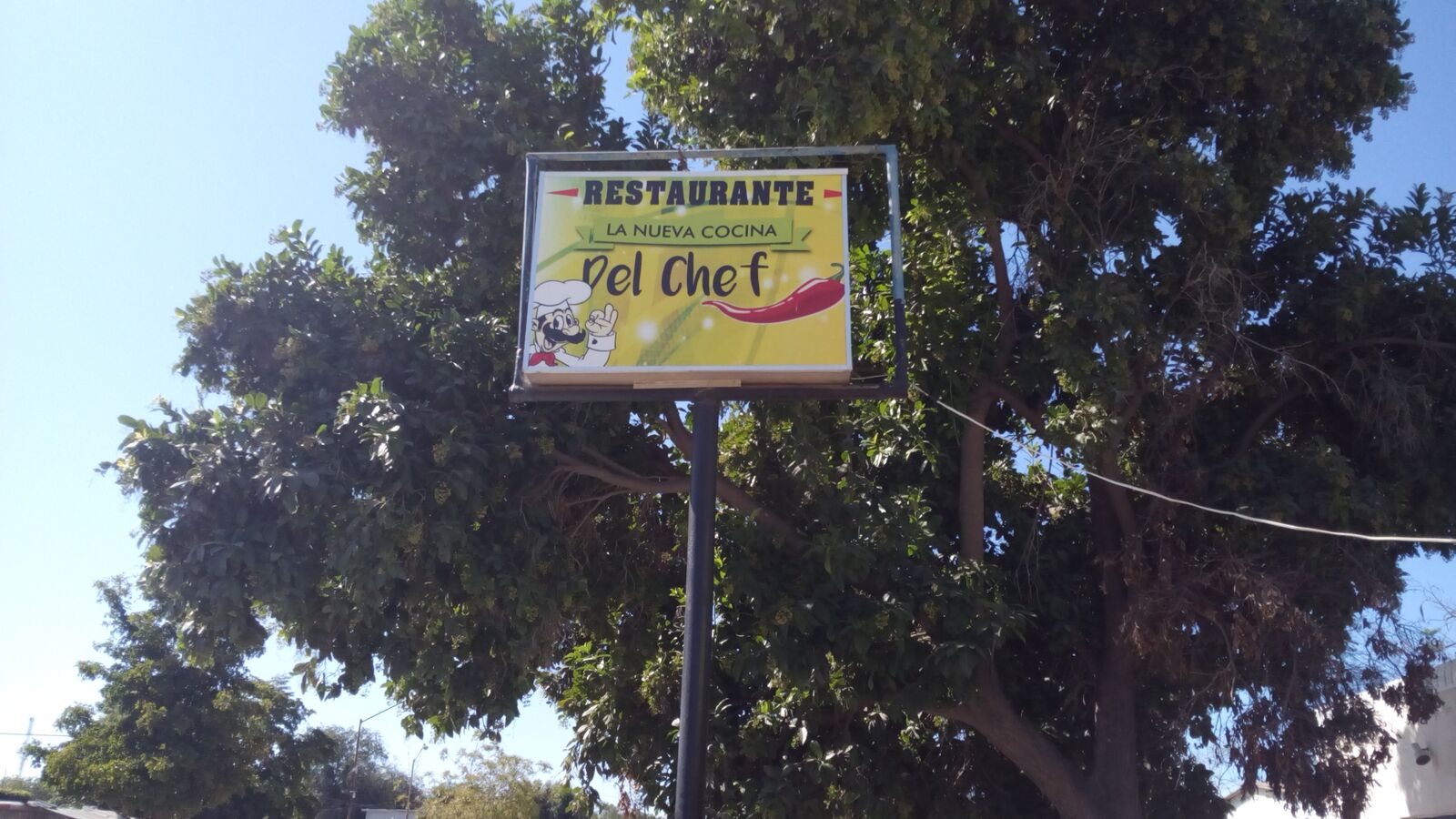 Comida del Chef image 6