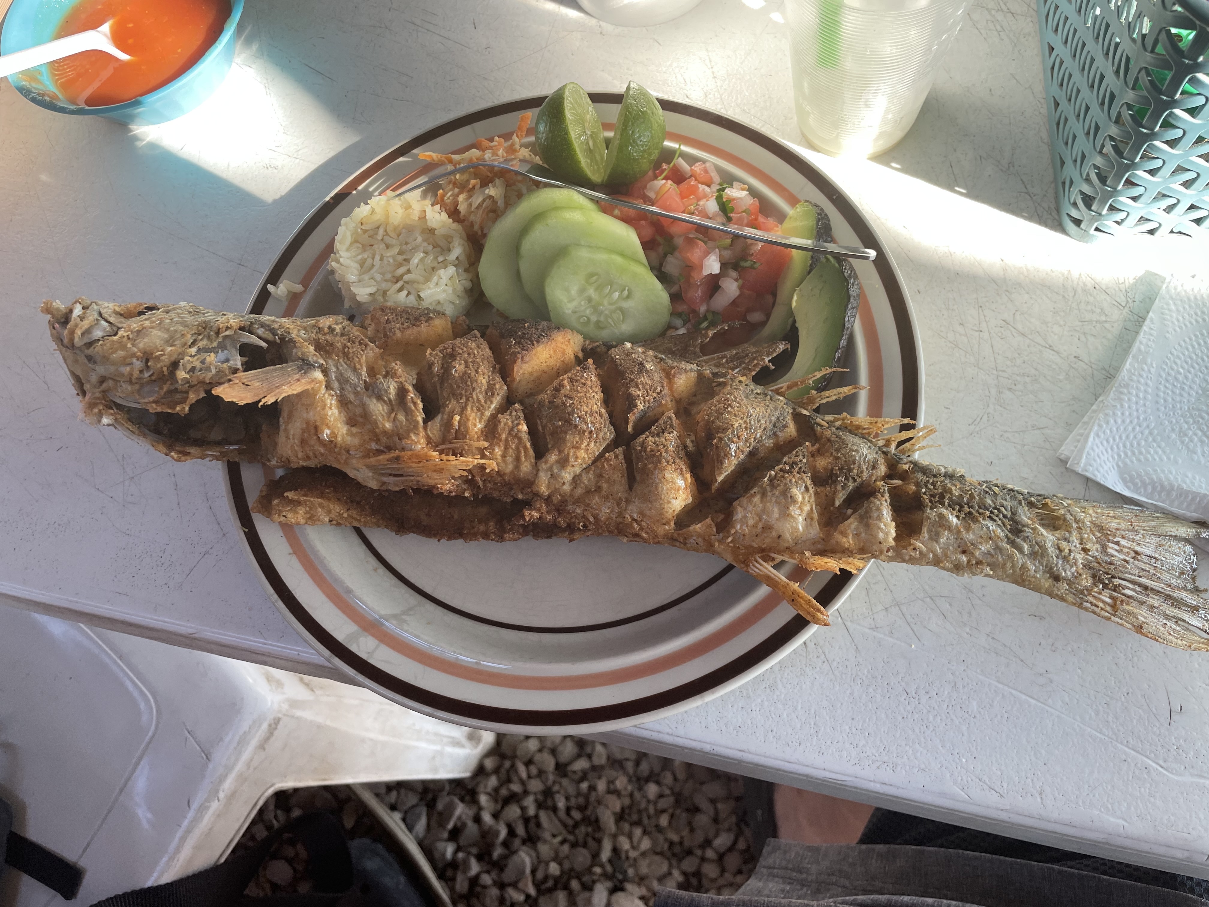 La Gran Perla image 5