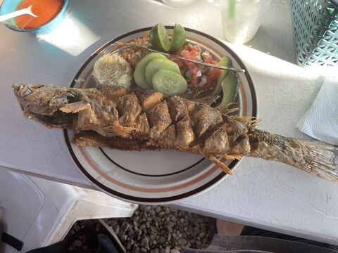 La Gran Perla image 5