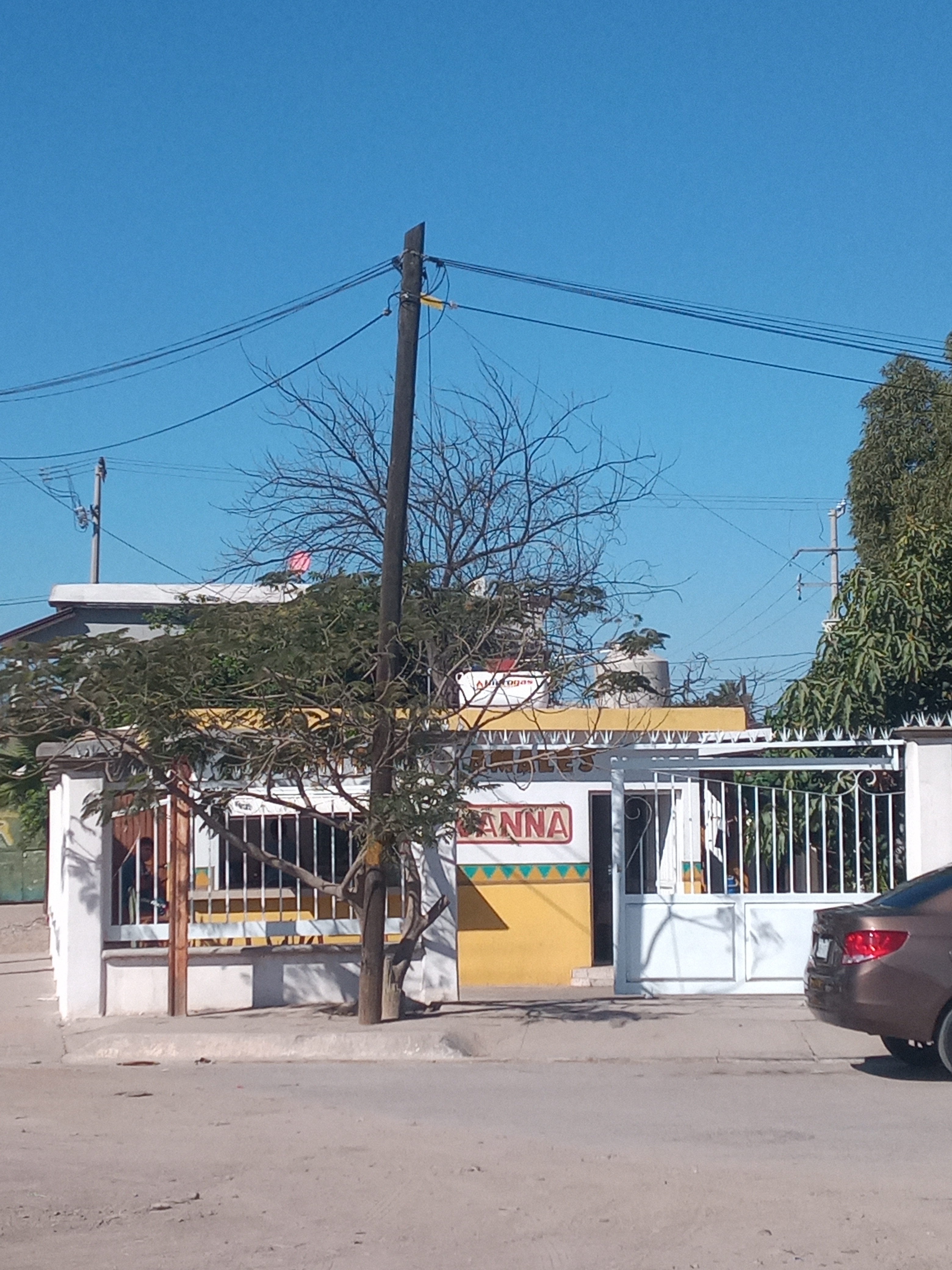 Burritos Y Tamales Ivanna image 2