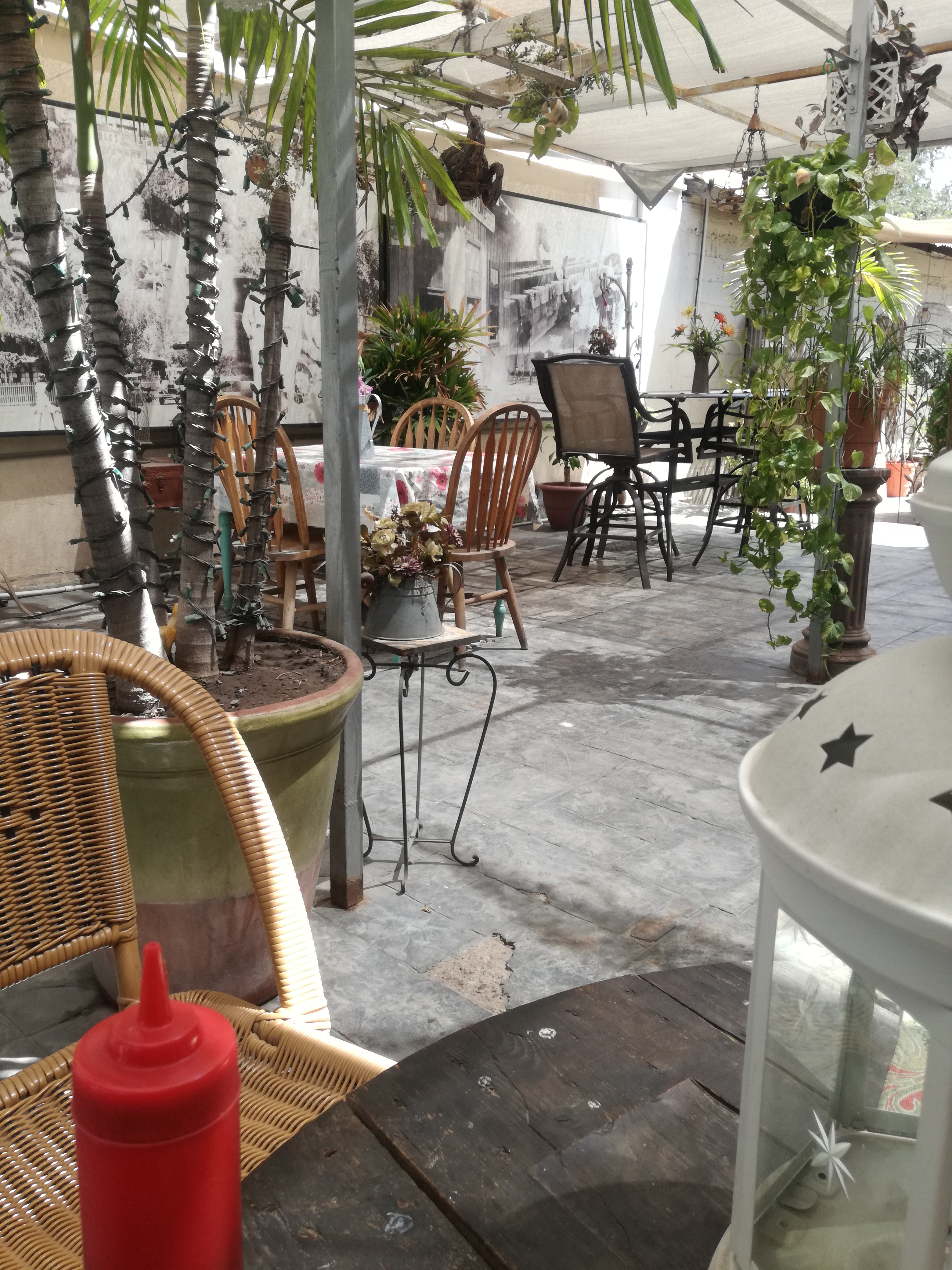 La Gran Torta image 1