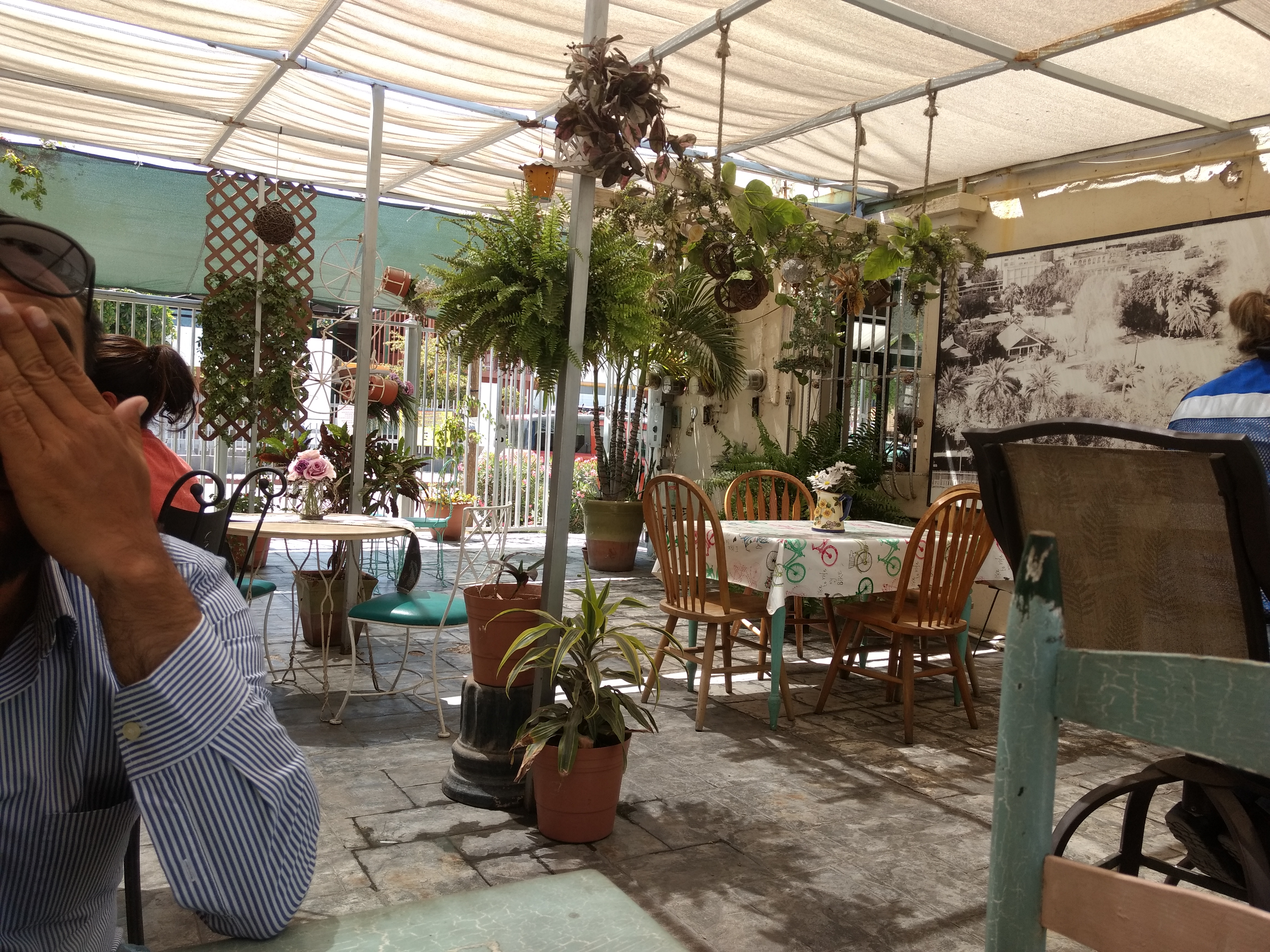 La Gran Torta image 4