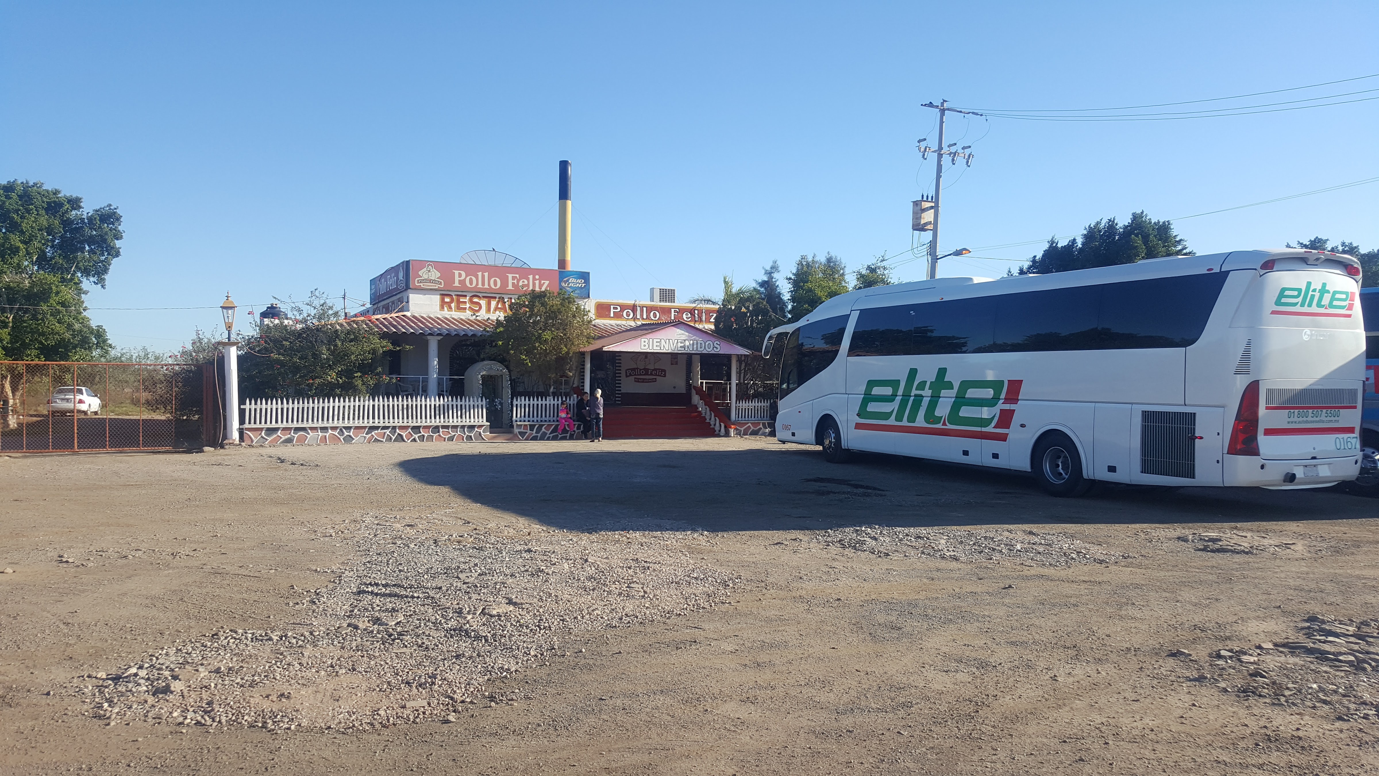 Pollo Feliz.. Ejido Cruz de Piedra image 9