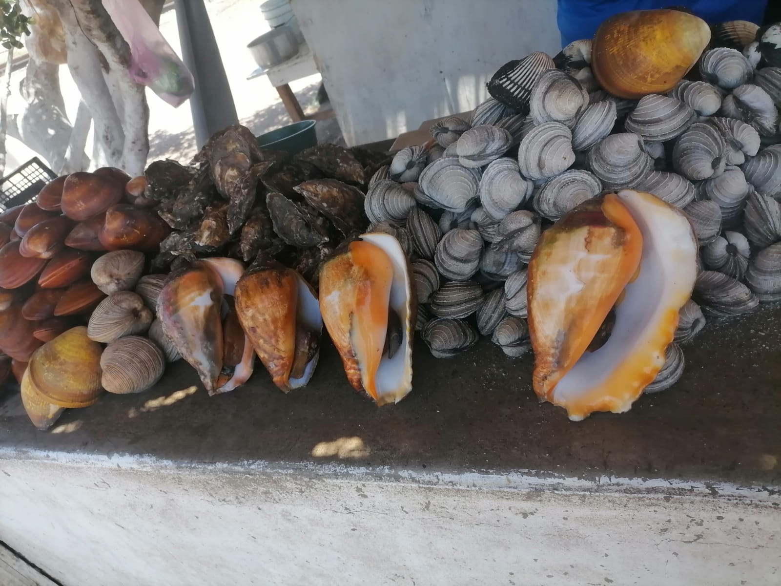 EL GRAN YO SOY image 2