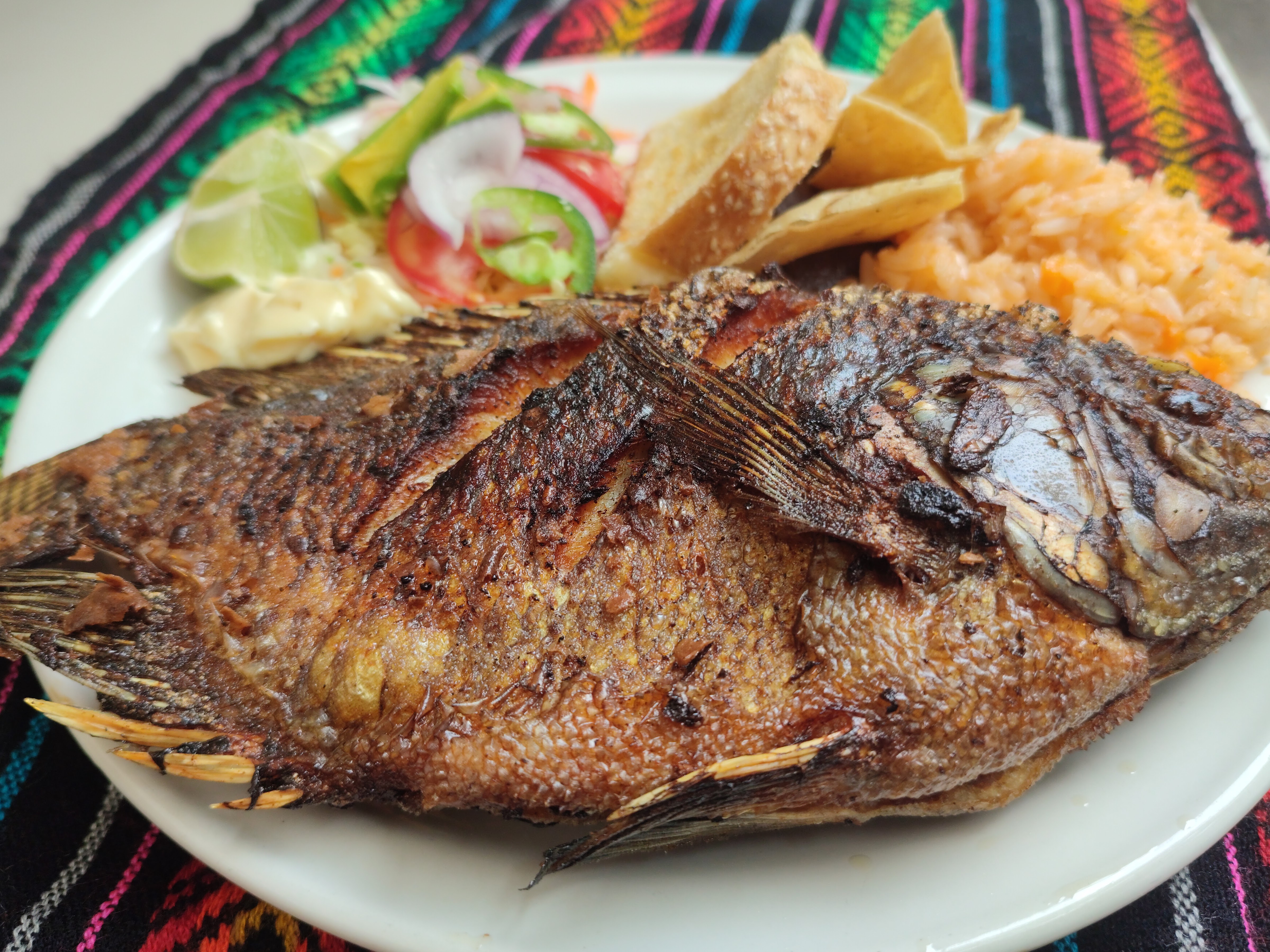 CHIAPAS DE MIS AMORES CINTALAPA image 2