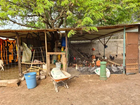 Villa Girasol image 3