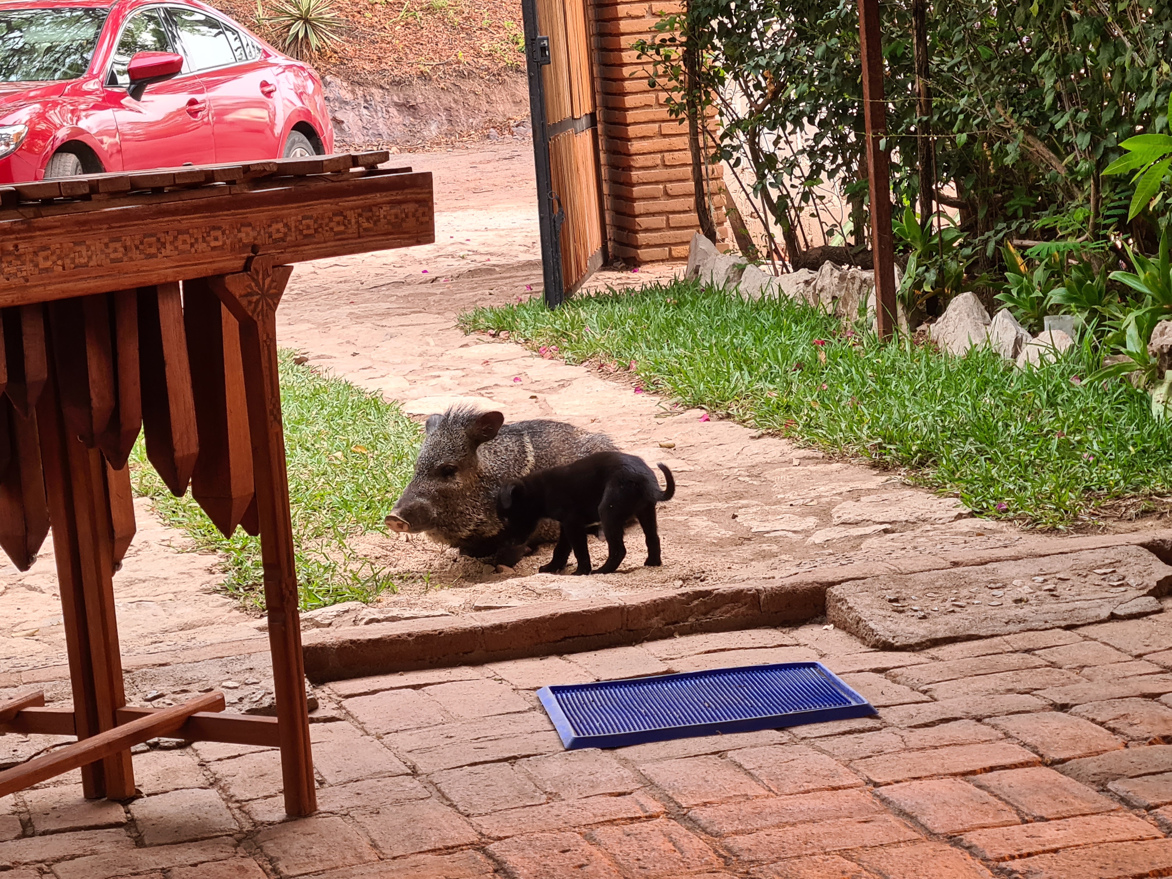 Villa Girasol image 4