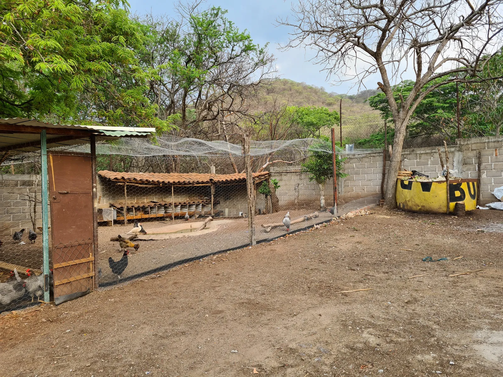 Villa Girasol image 8