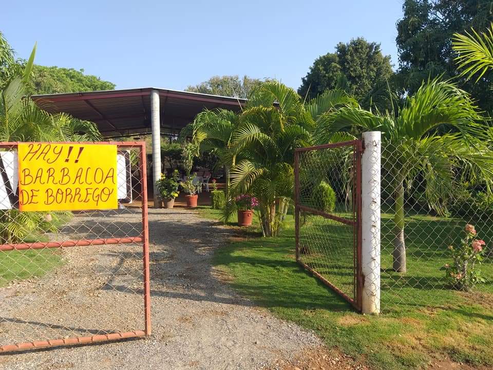 La Casa del Borrego image 3