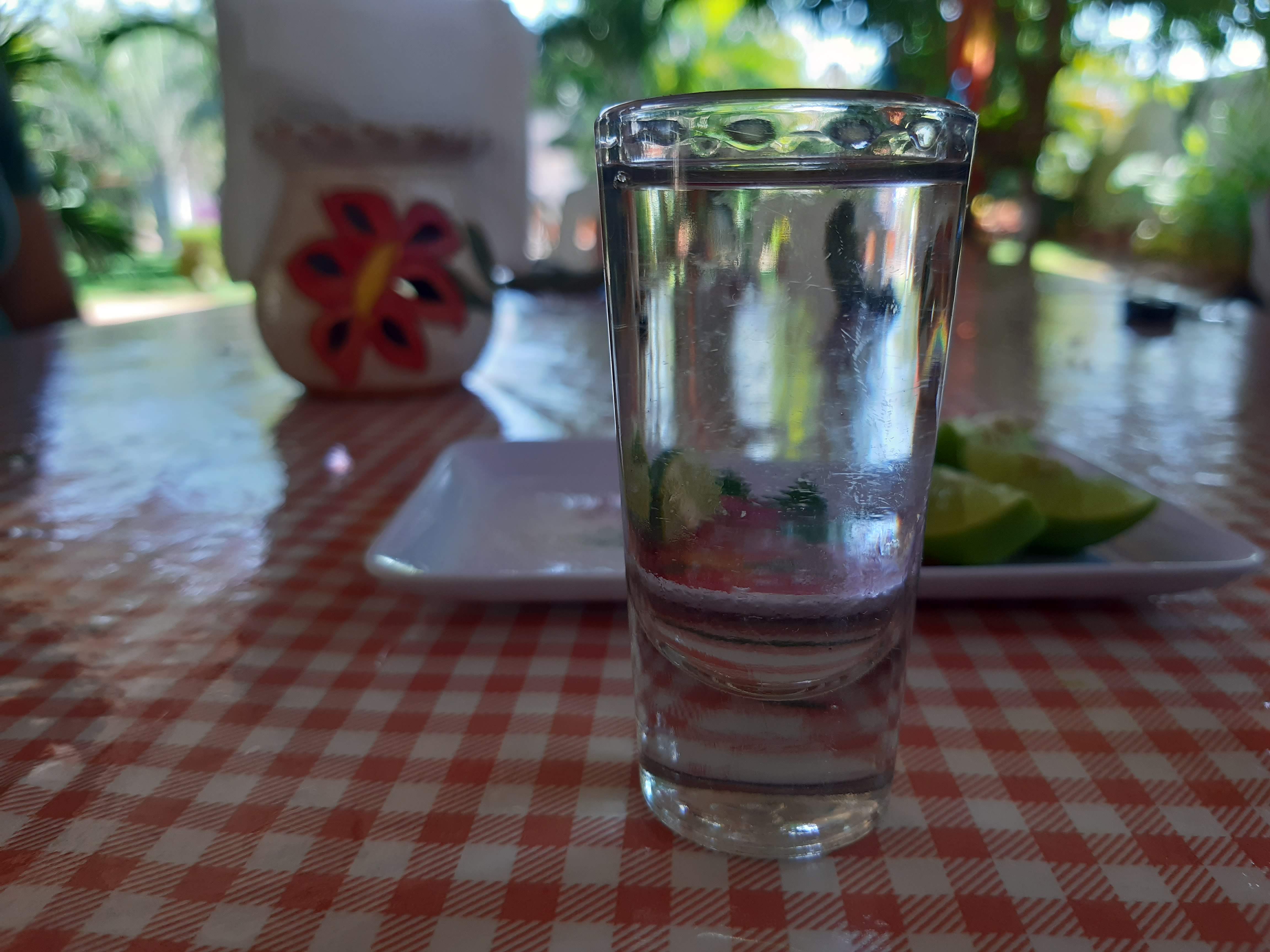 La Casa del Borrego image 4