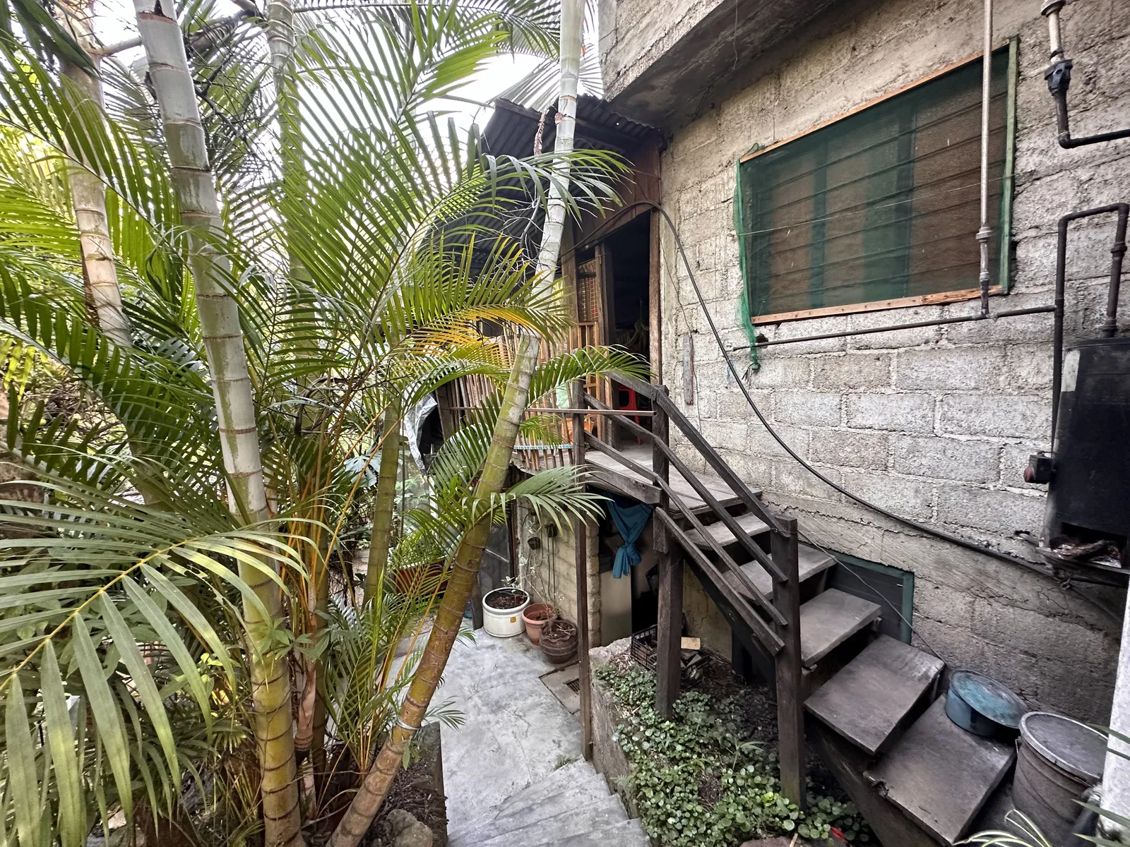 Casa Raiz image 5