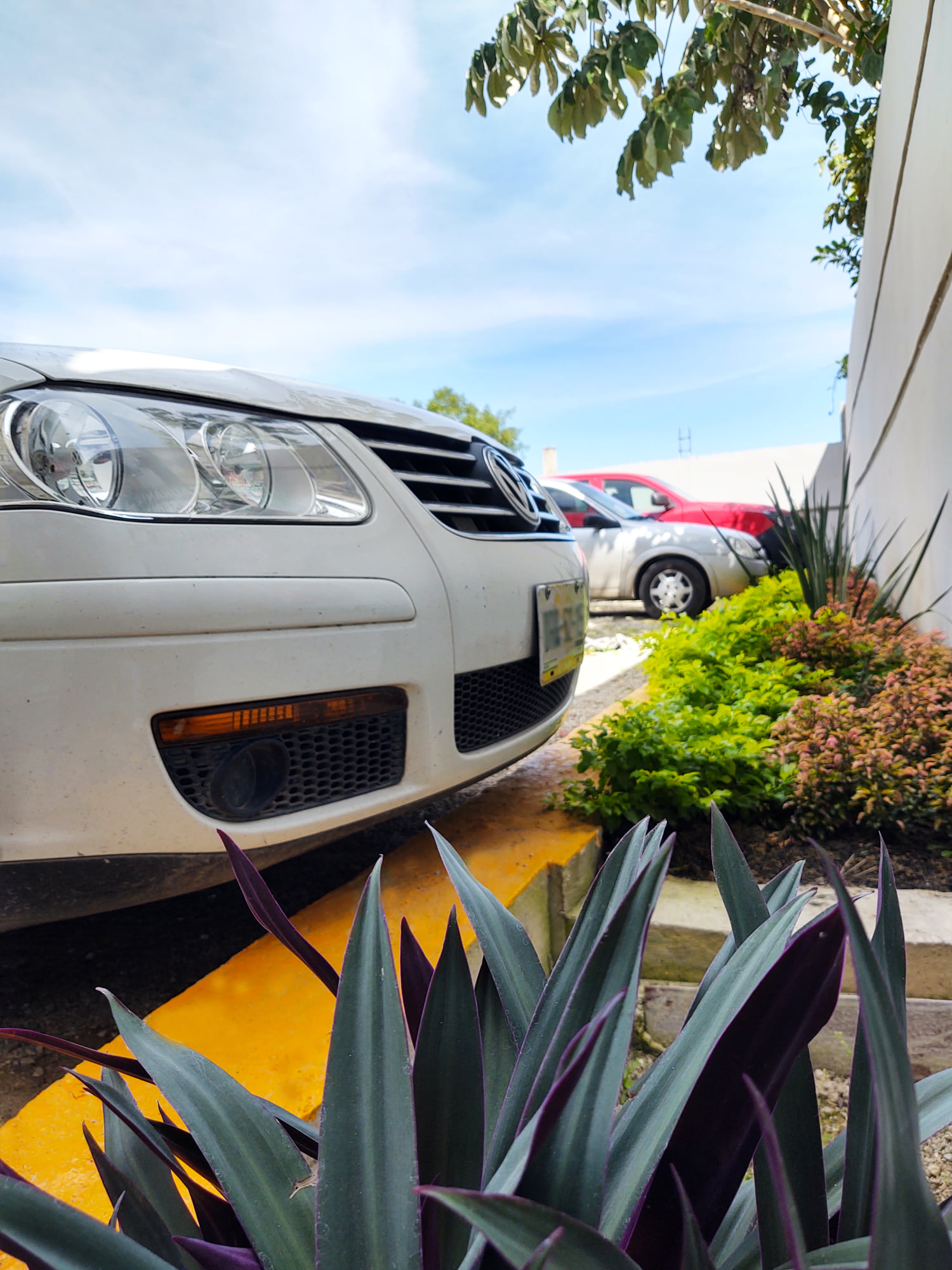 Café - Restaurante "Hotel Zepeda" image 8