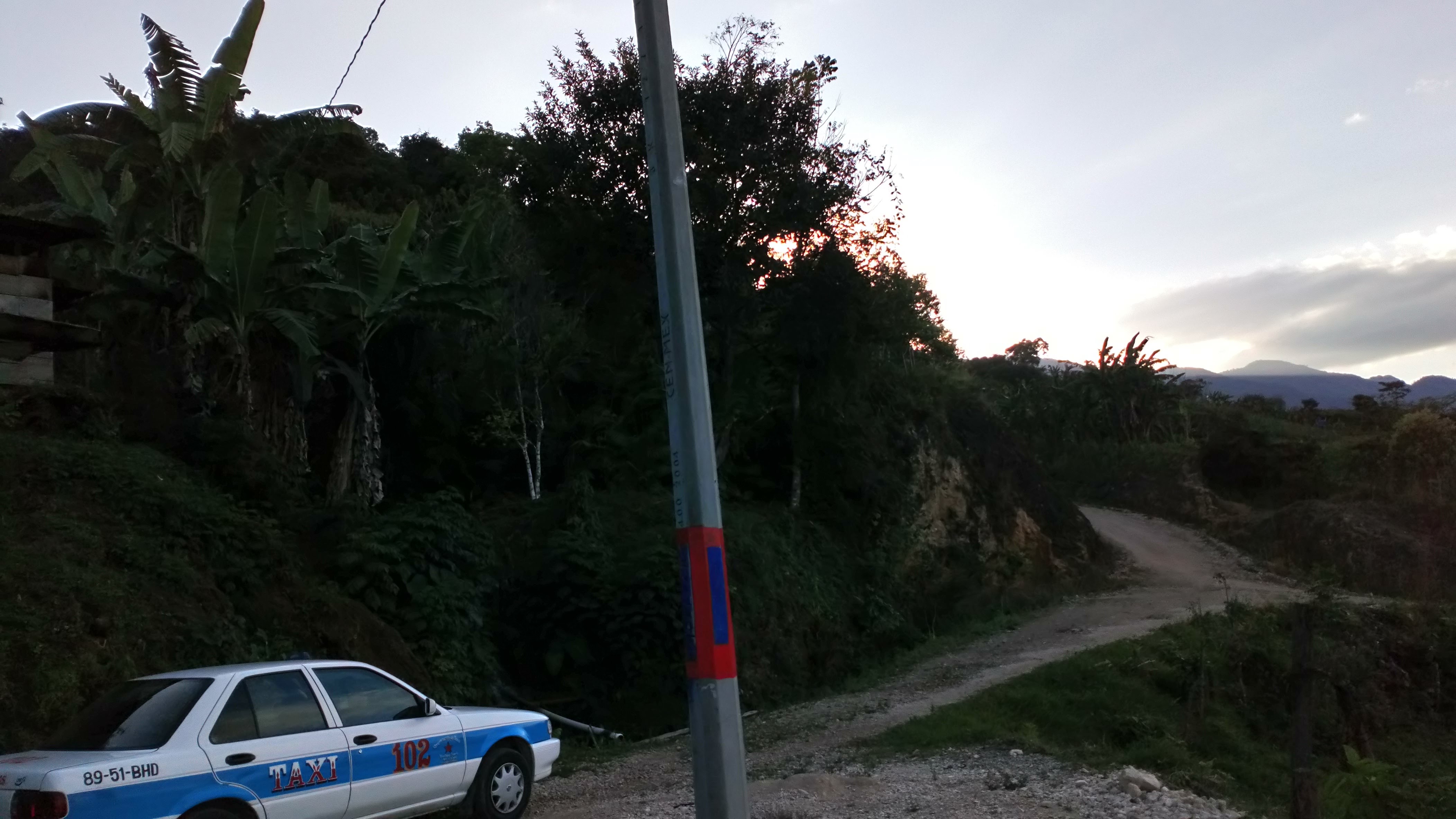 Pollos a la Naranja image 9