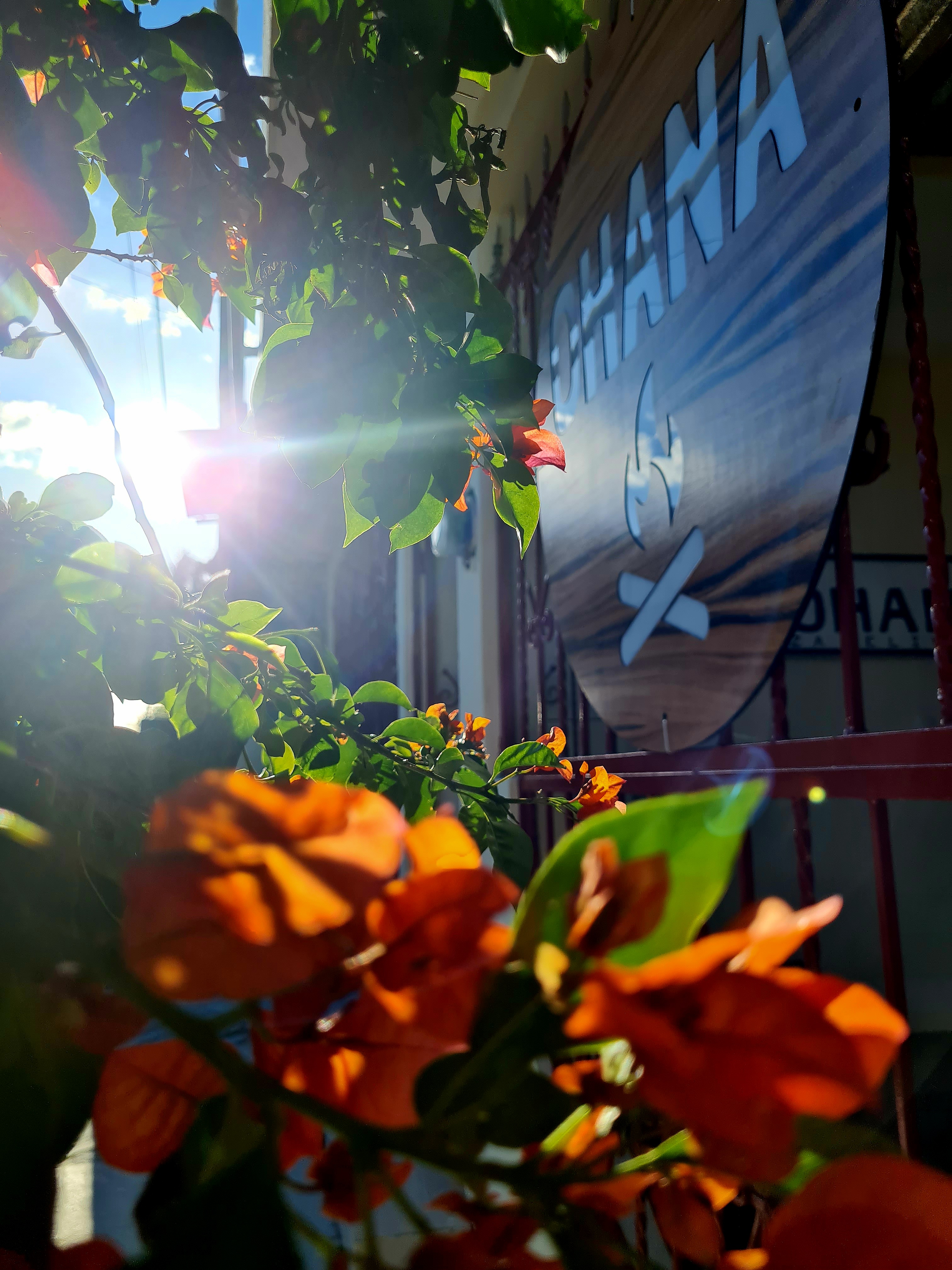 OHANA Pizzeria & Cocina de Autor image 9