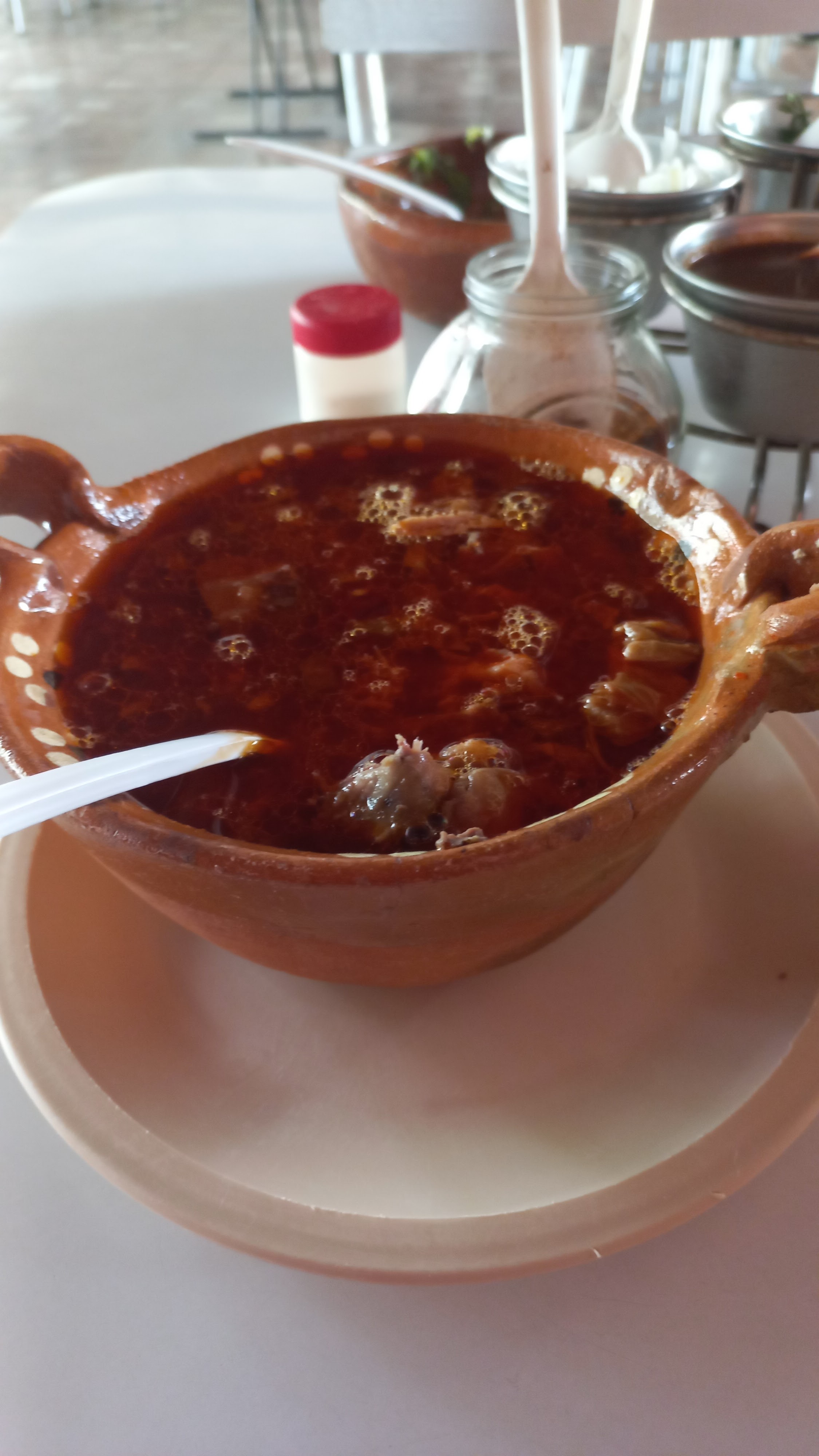 La Bella Airosa De Comalcalco image 7