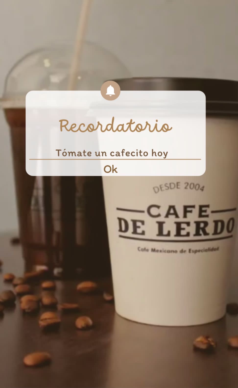 Café De Lerdo image 8
