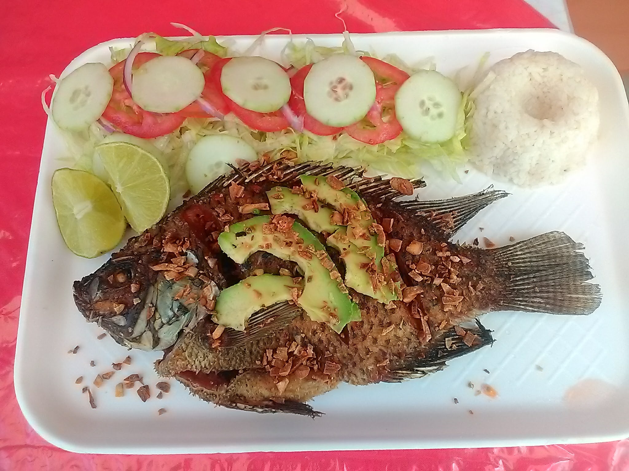 Las jirafas de ari image 1