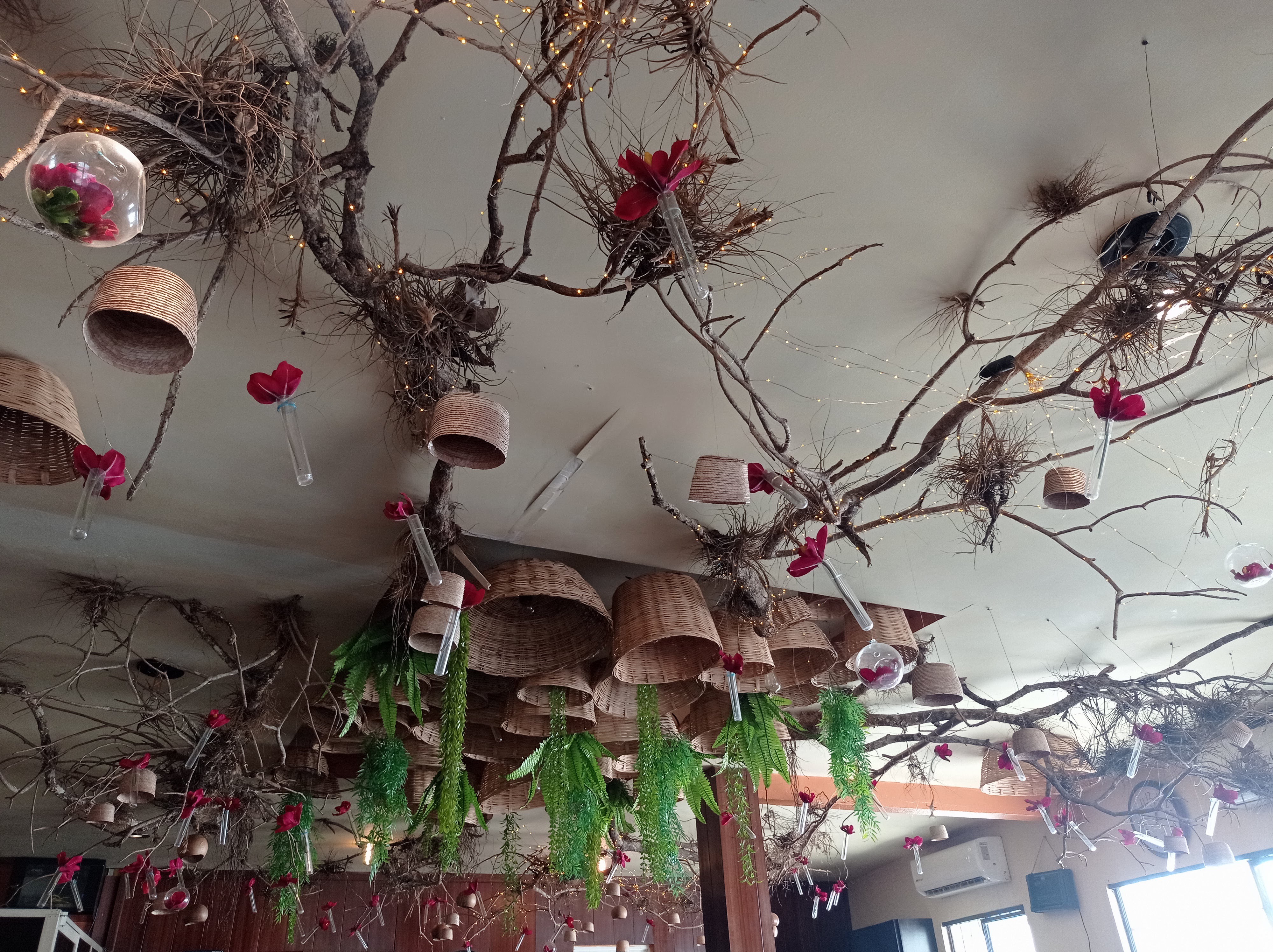 El Pollo Dorado image 5