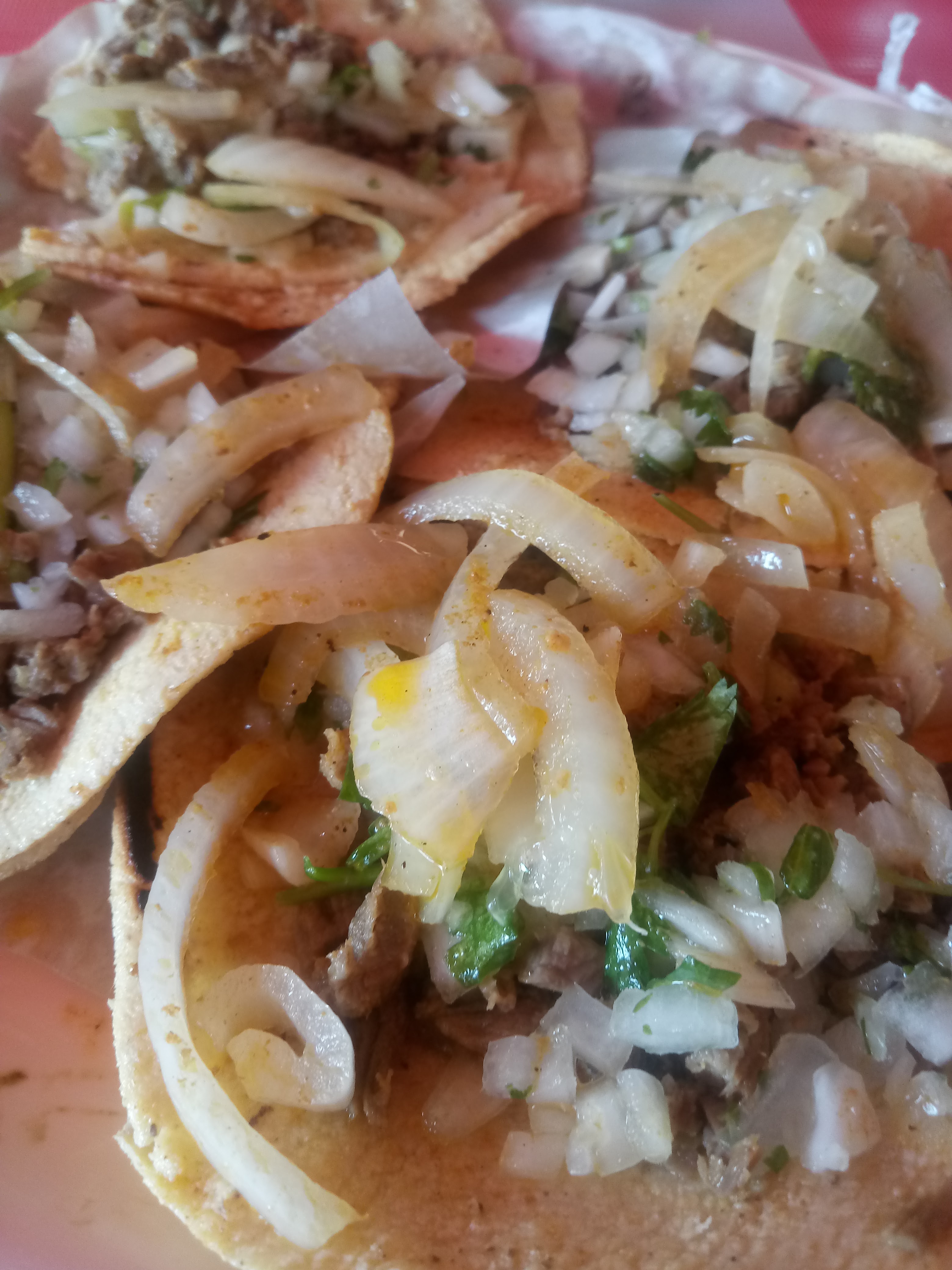 Taqueria Dani image 2