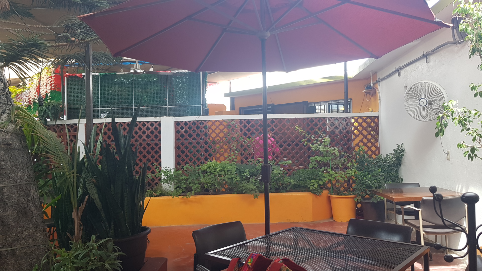 Restaurante Los Faroles image 4