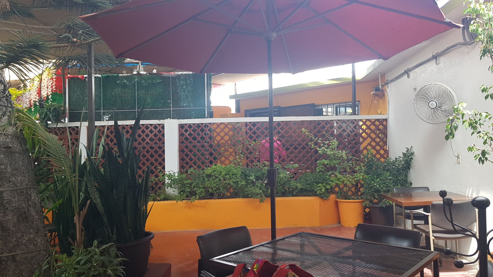 Restaurante Los Faroles image 4