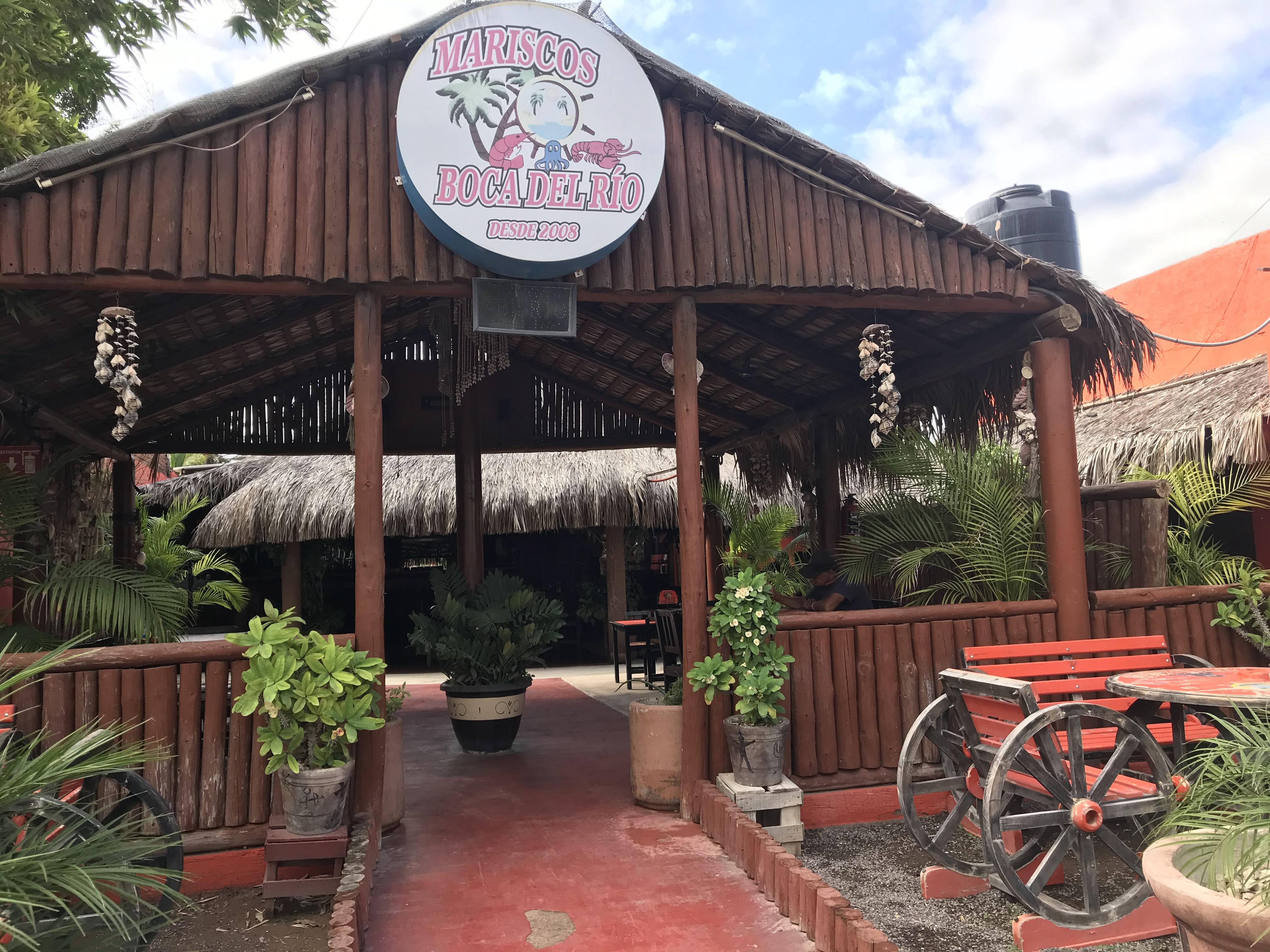 Boca del Rio image 1