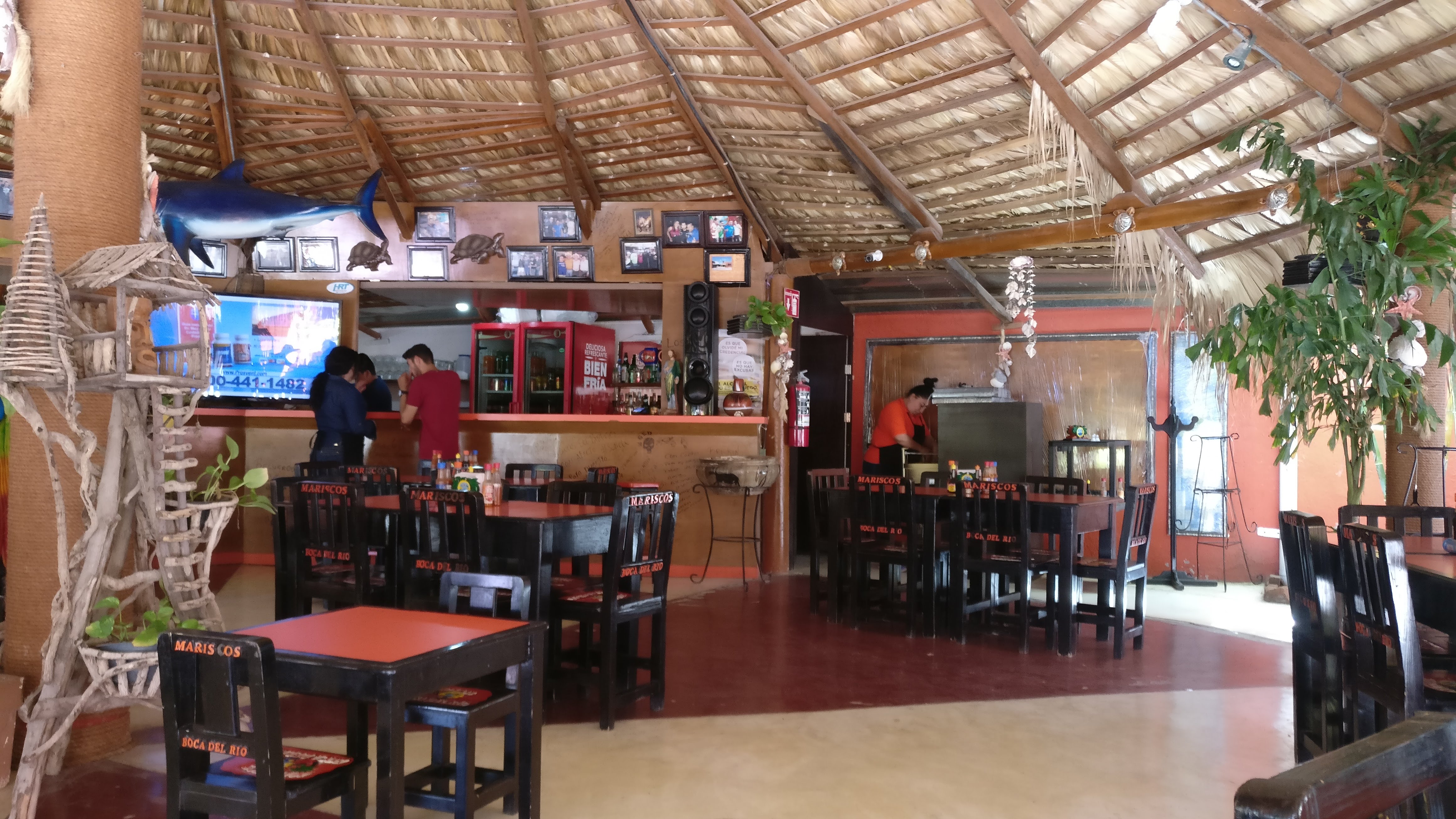 Boca del Rio image 3