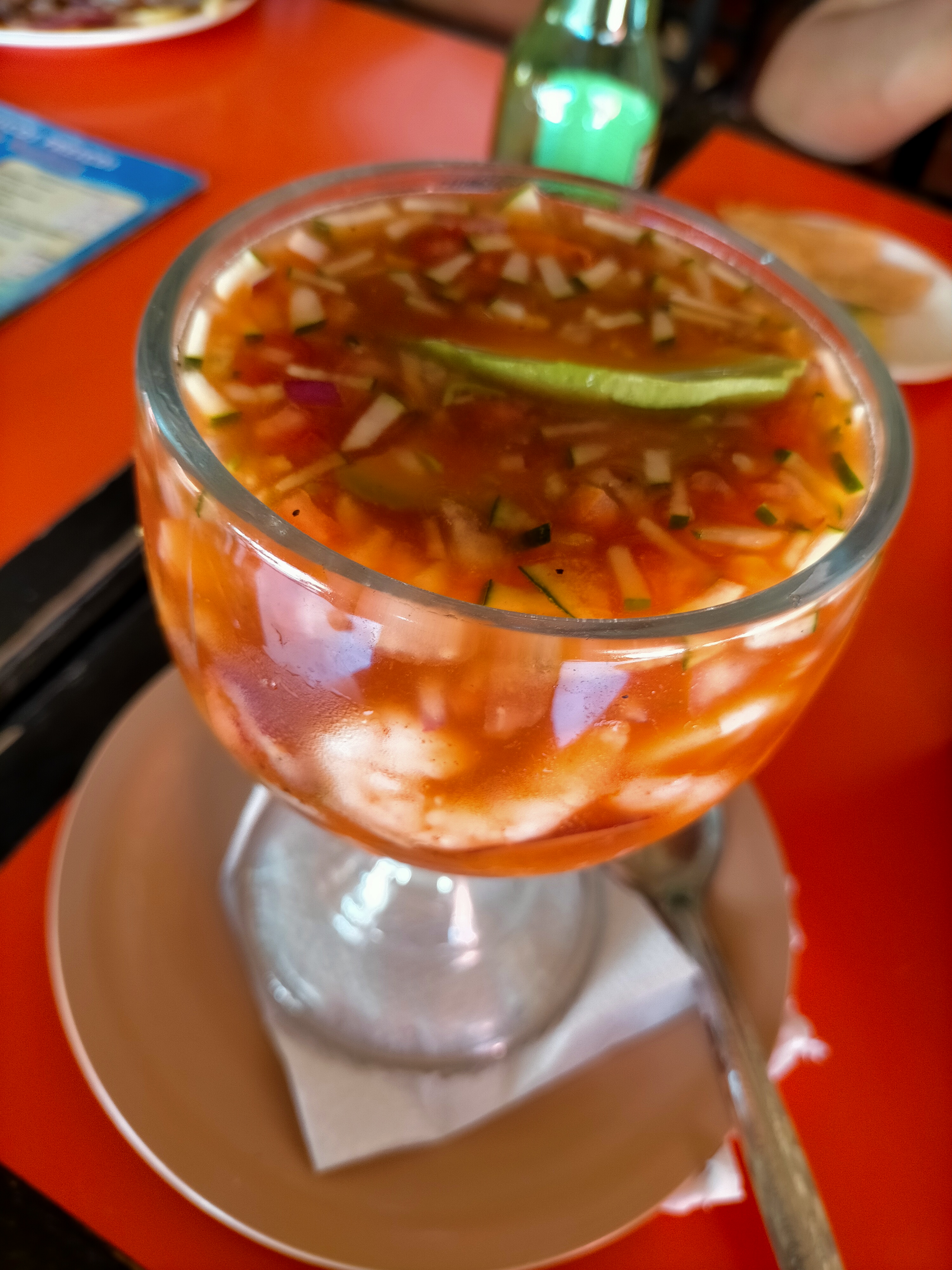 Boca del Rio image 7