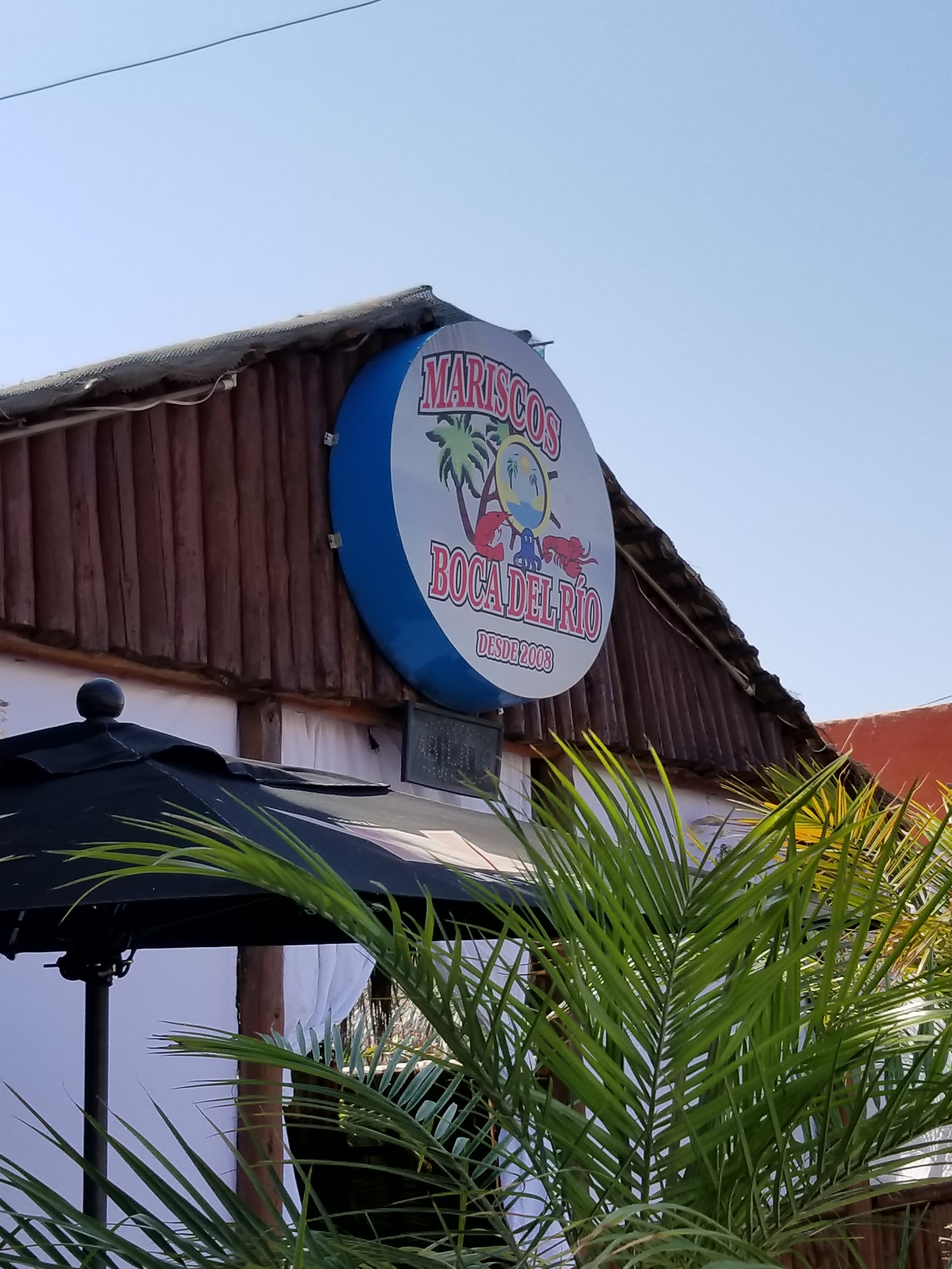 Boca del Rio image 8