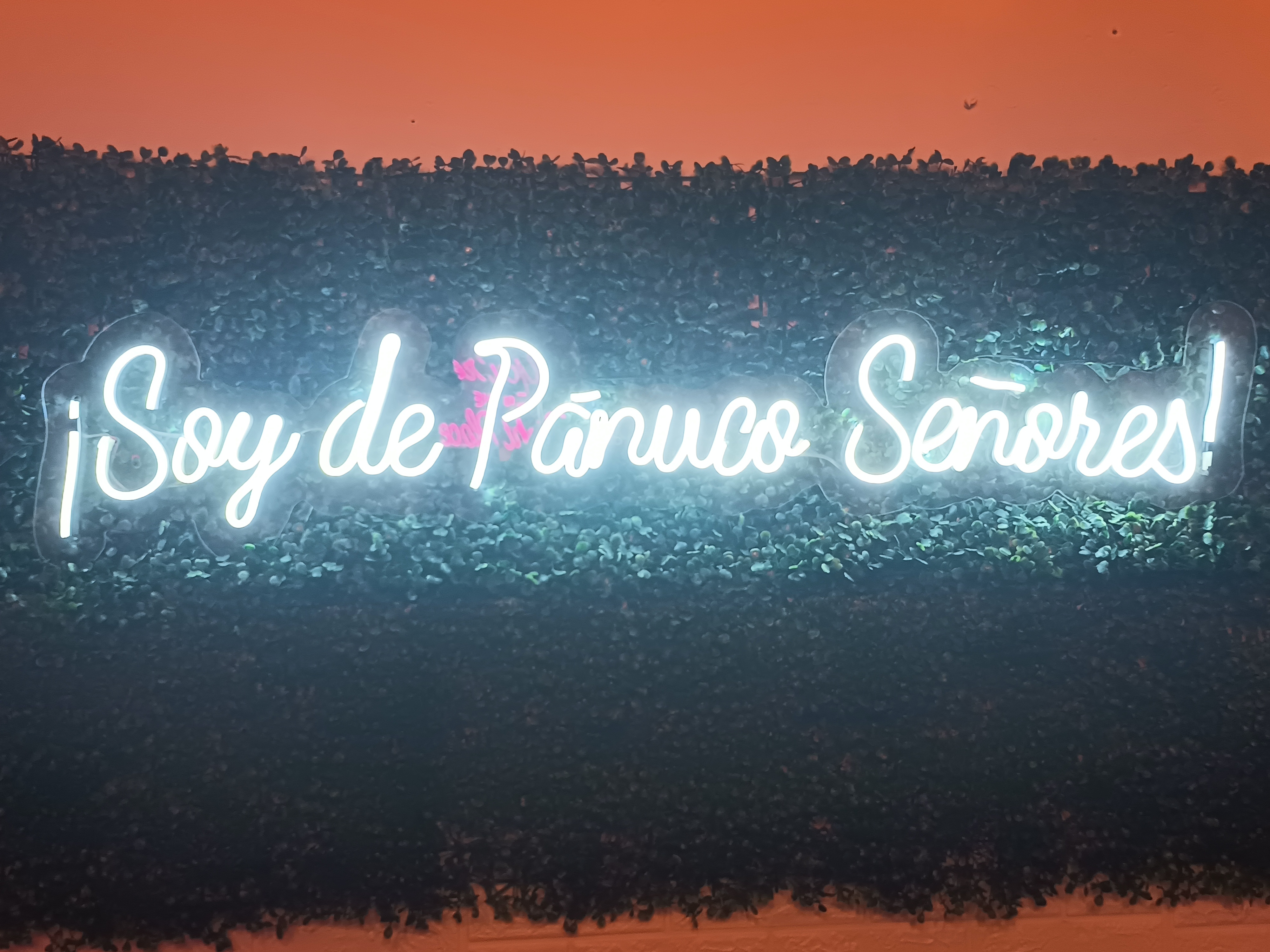 Maria Bonita image 10