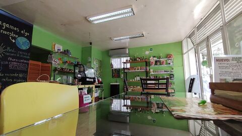 Kampoverdia image 3