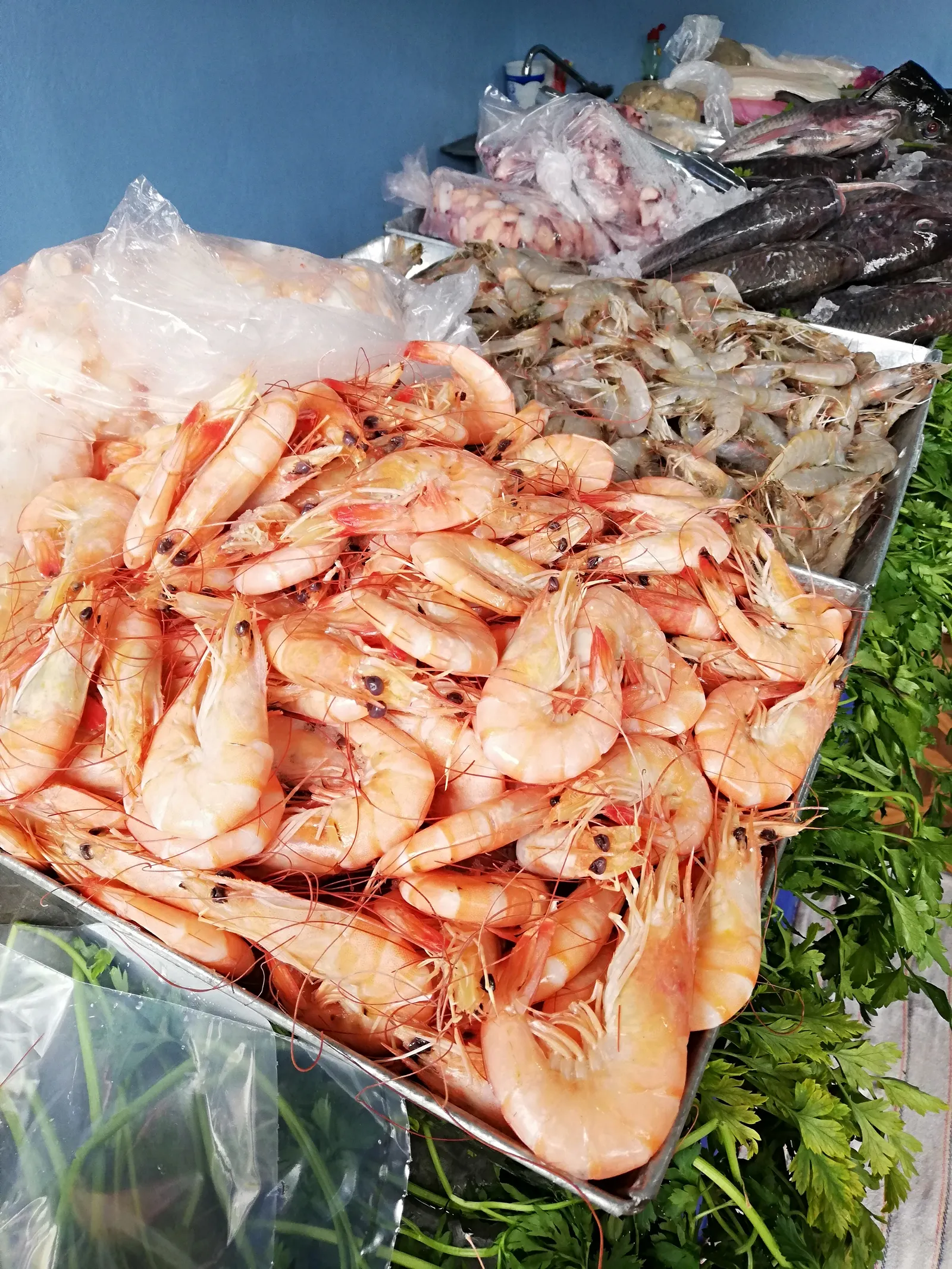 Pescaderia "MOCAMBO" image 3
