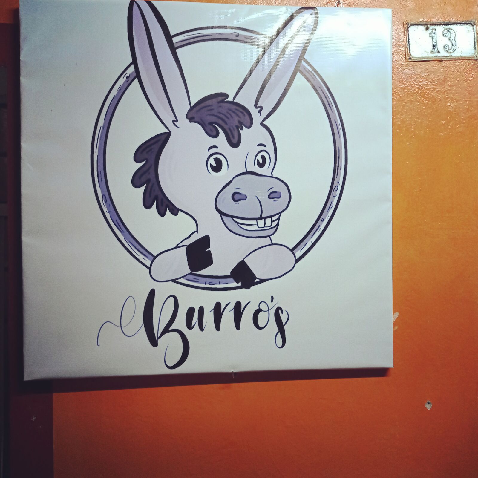 @Burrosmex image 10