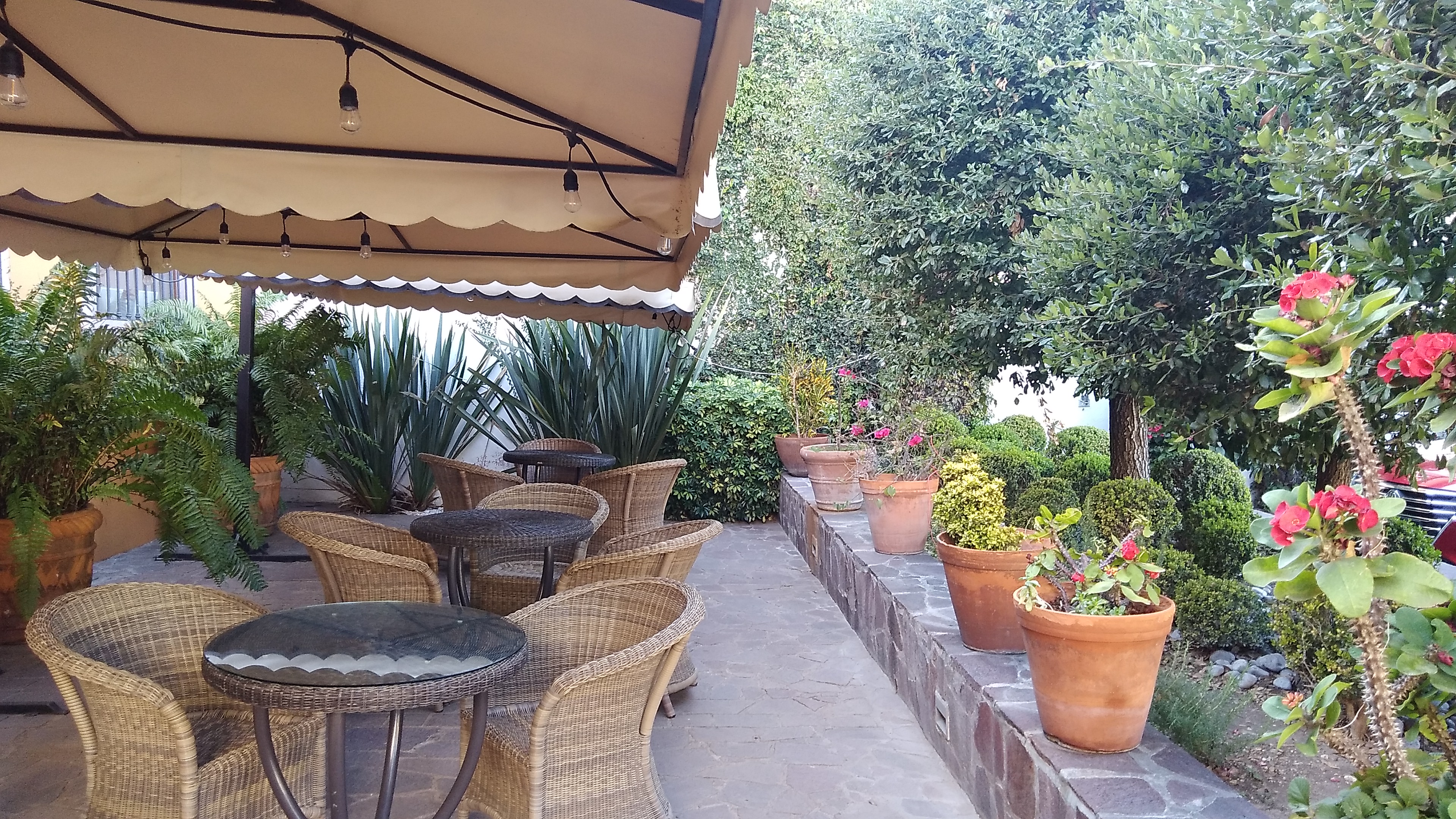 Café Juarez 10 image 1