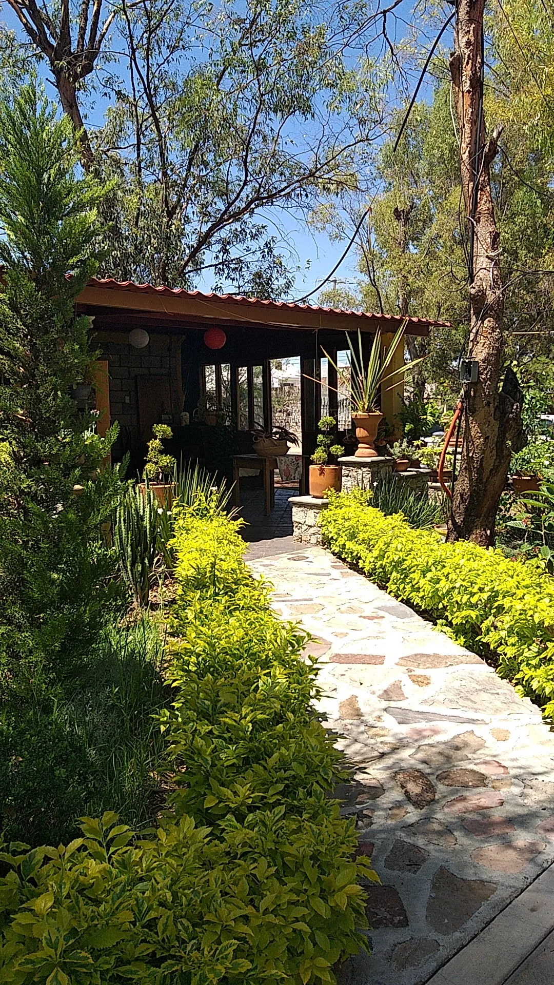 EL COMAL CAMPESTRE image 6