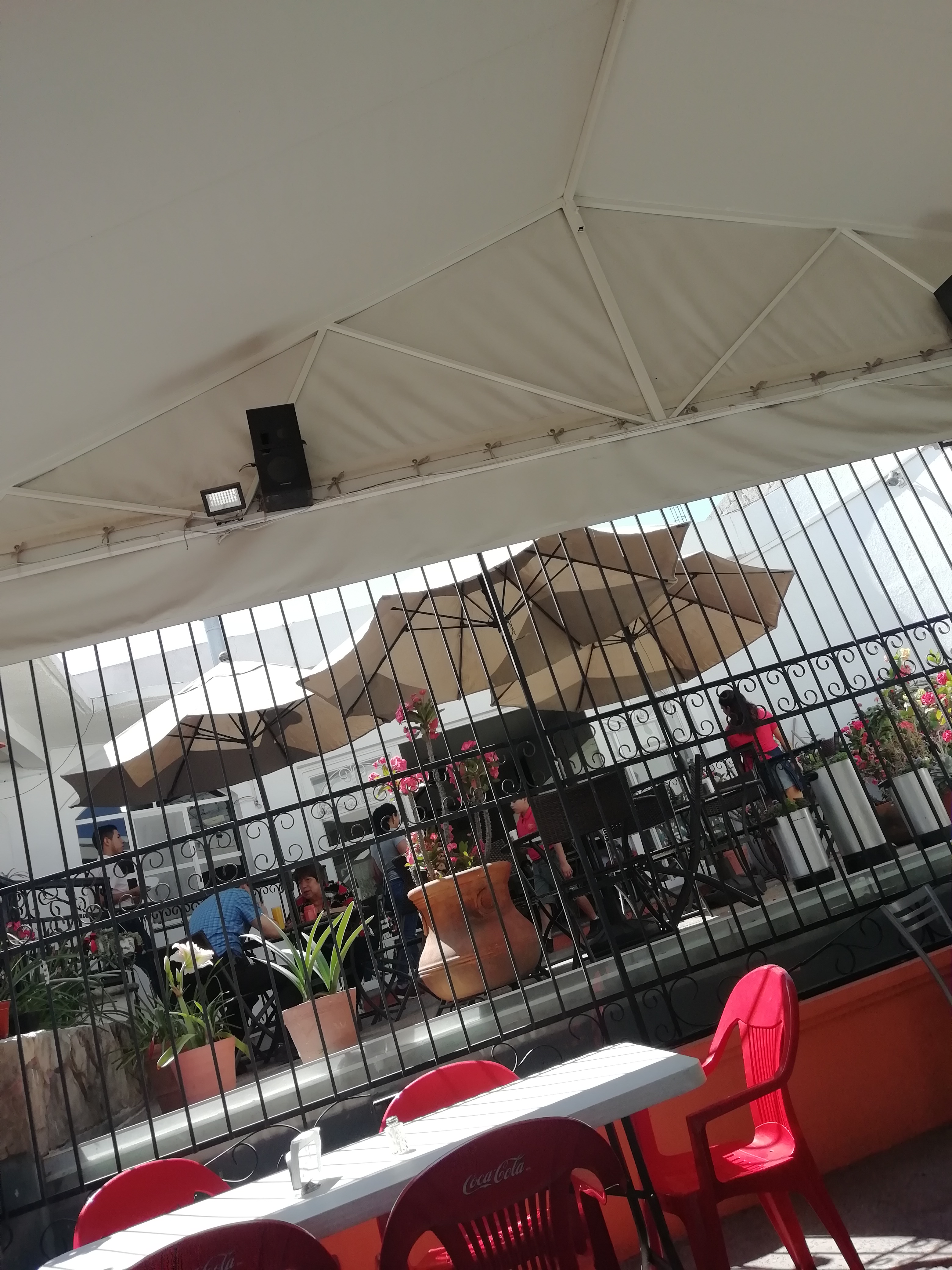 Buen Provecho image 4