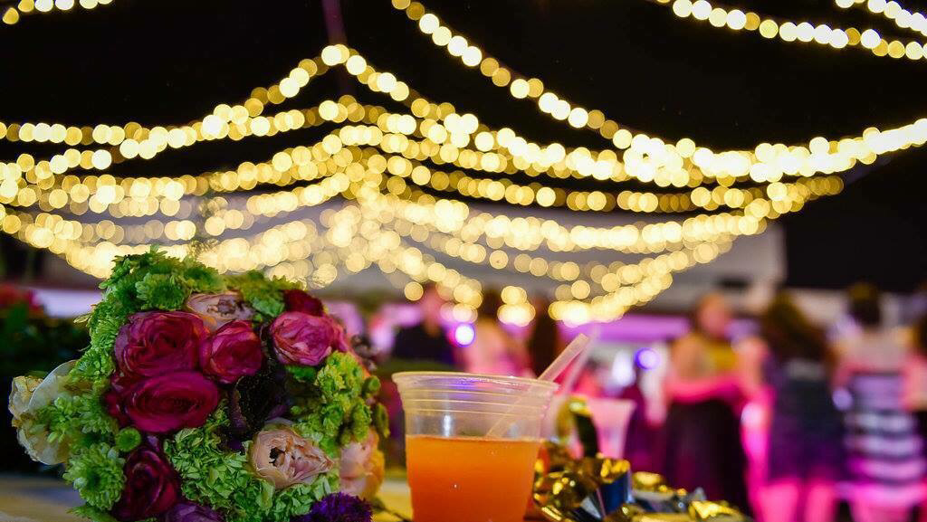 Los Girasoles image 3