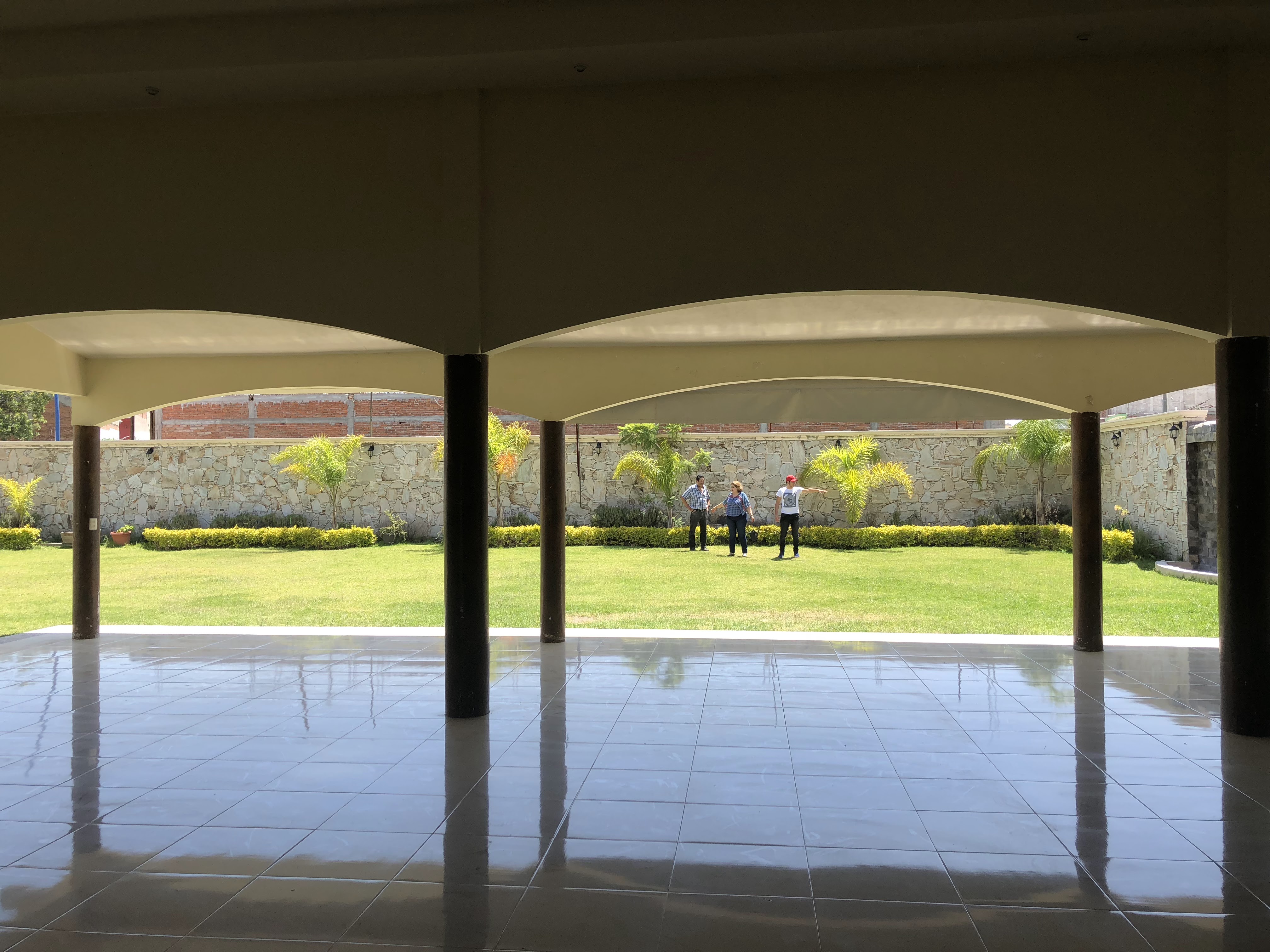 Los Girasoles image 8