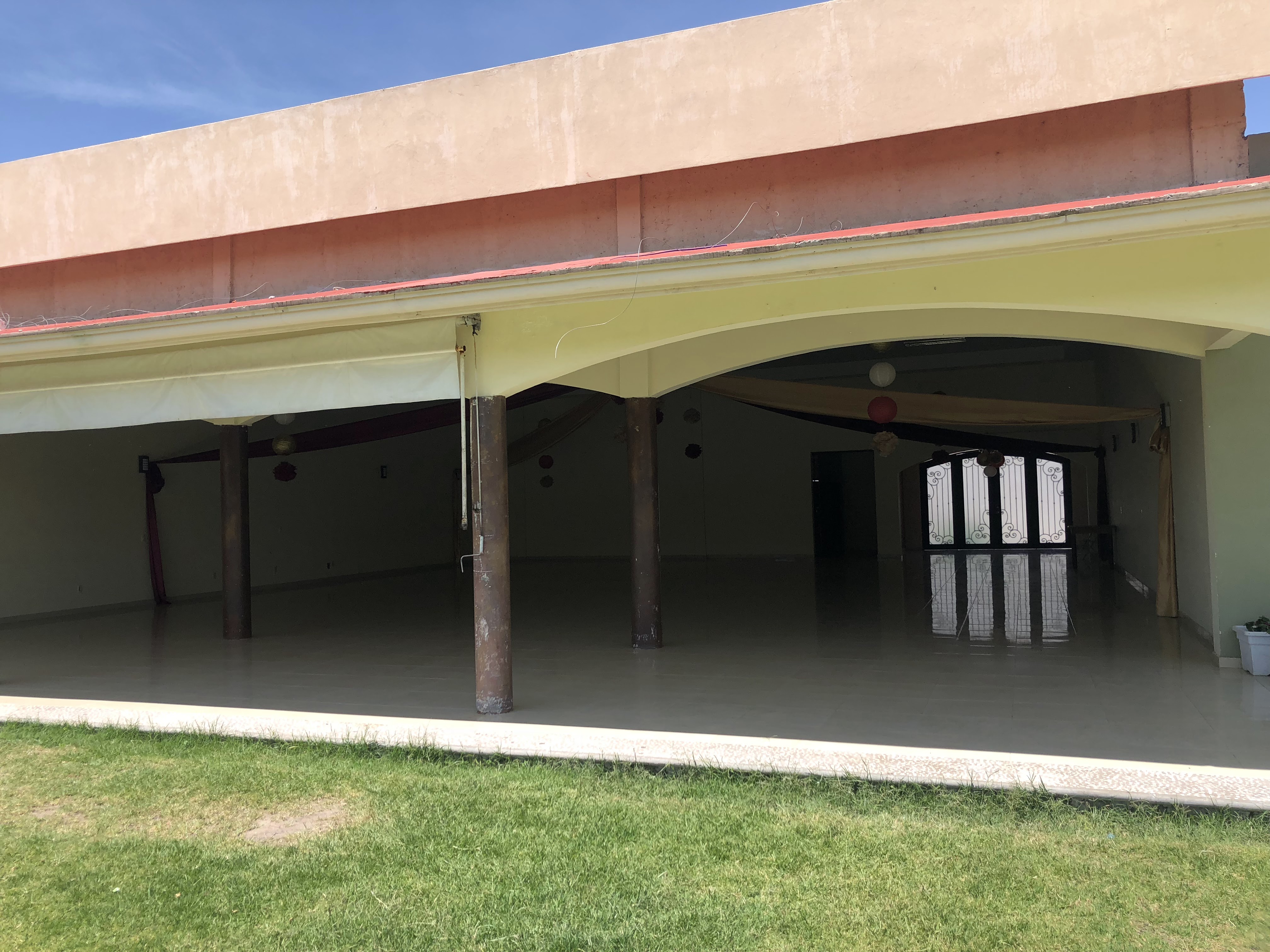 Los Girasoles image 9