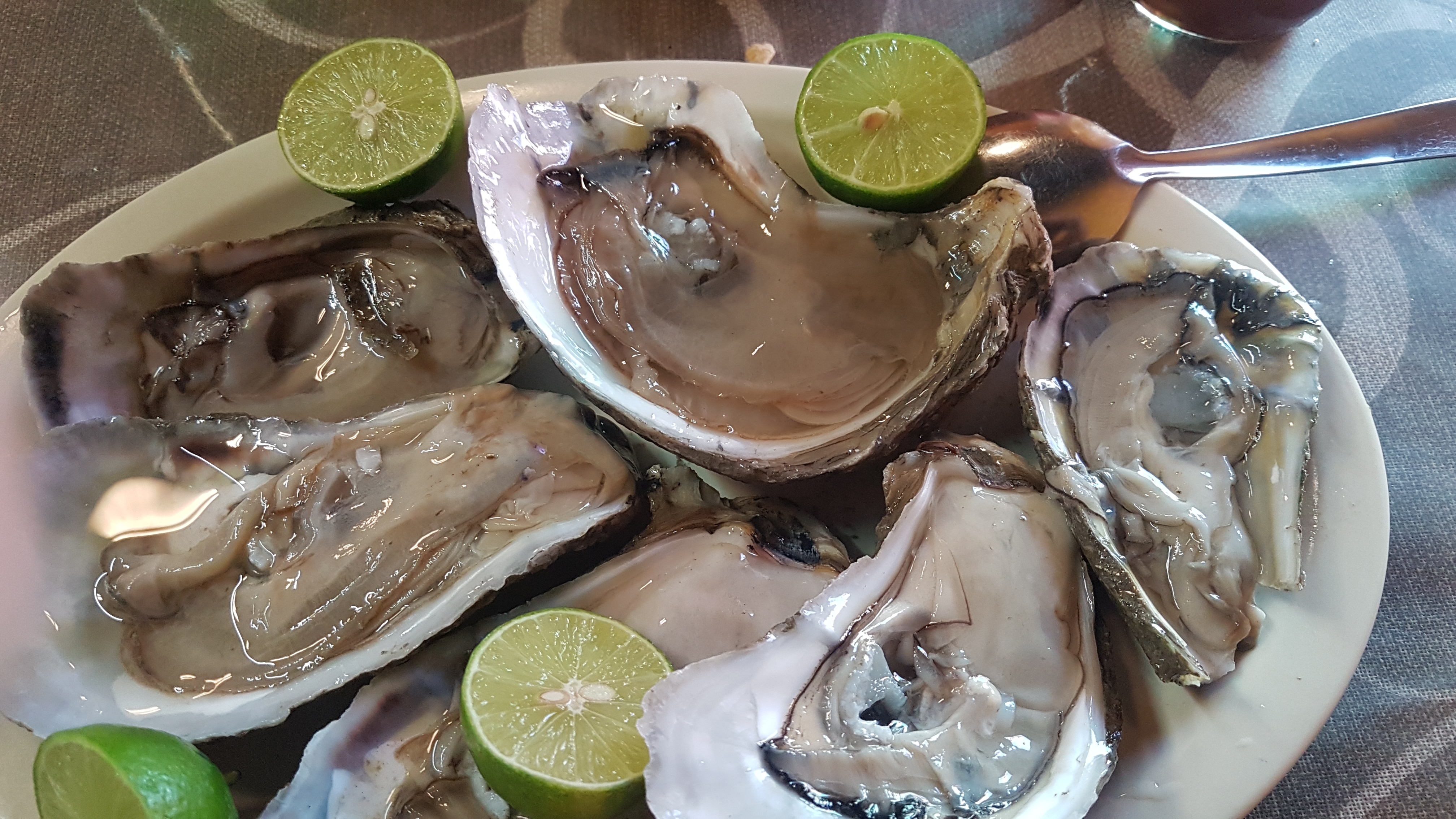 Mariscos El Muñeco image 5