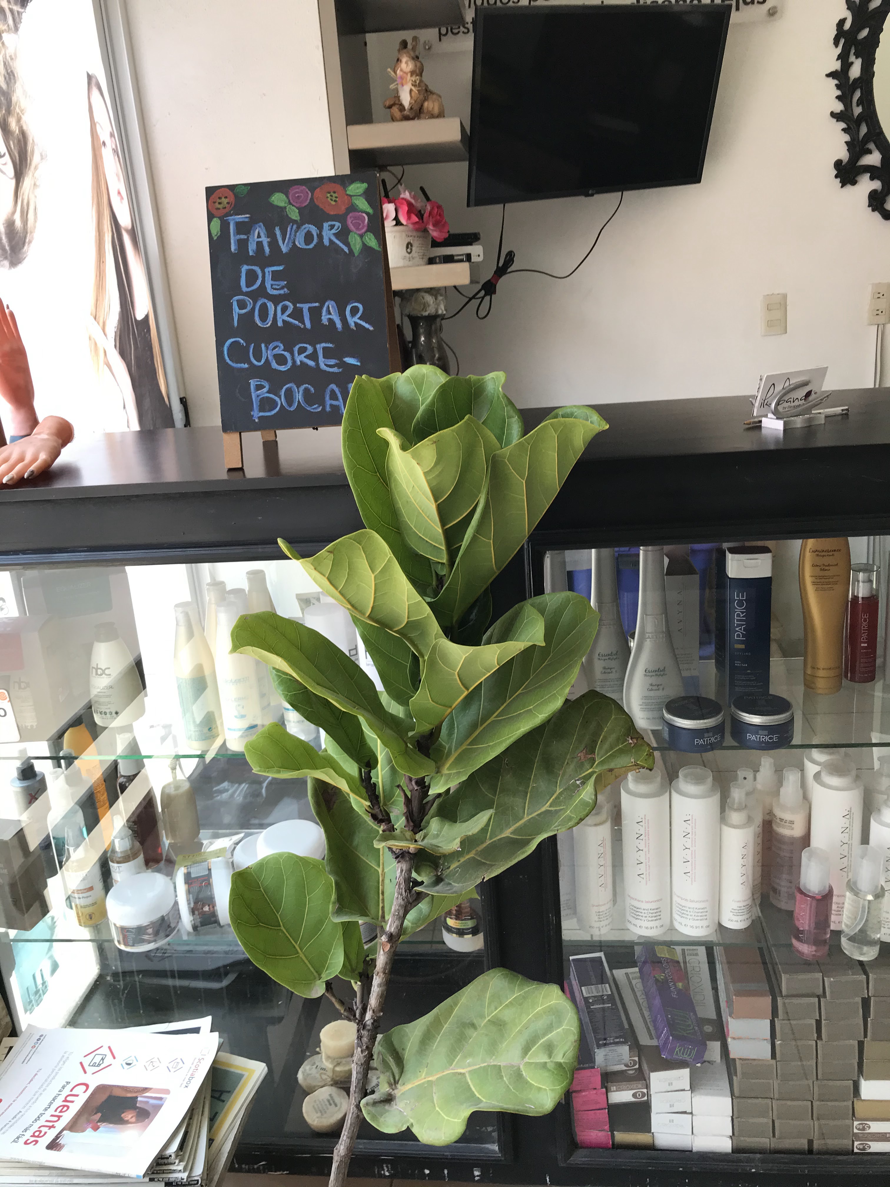 Mariscos El Muñeco image 10