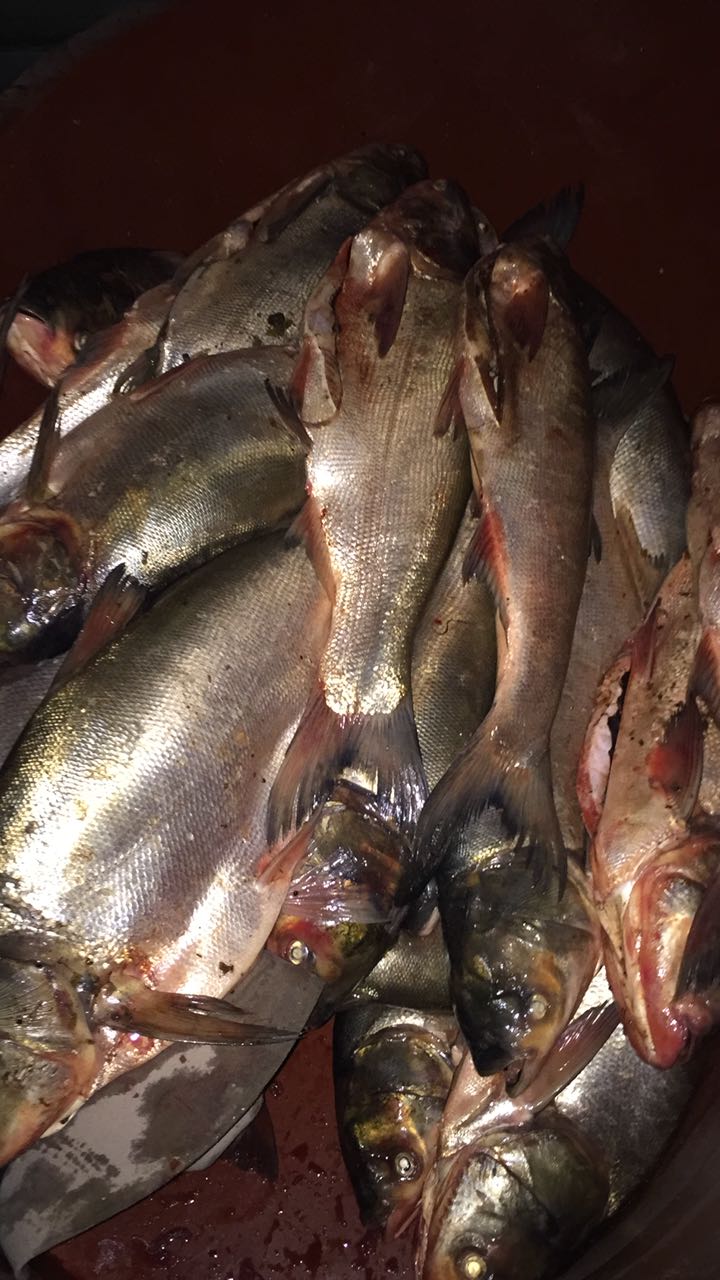 Mariscos "Mi Lindo Nayarit" image 6