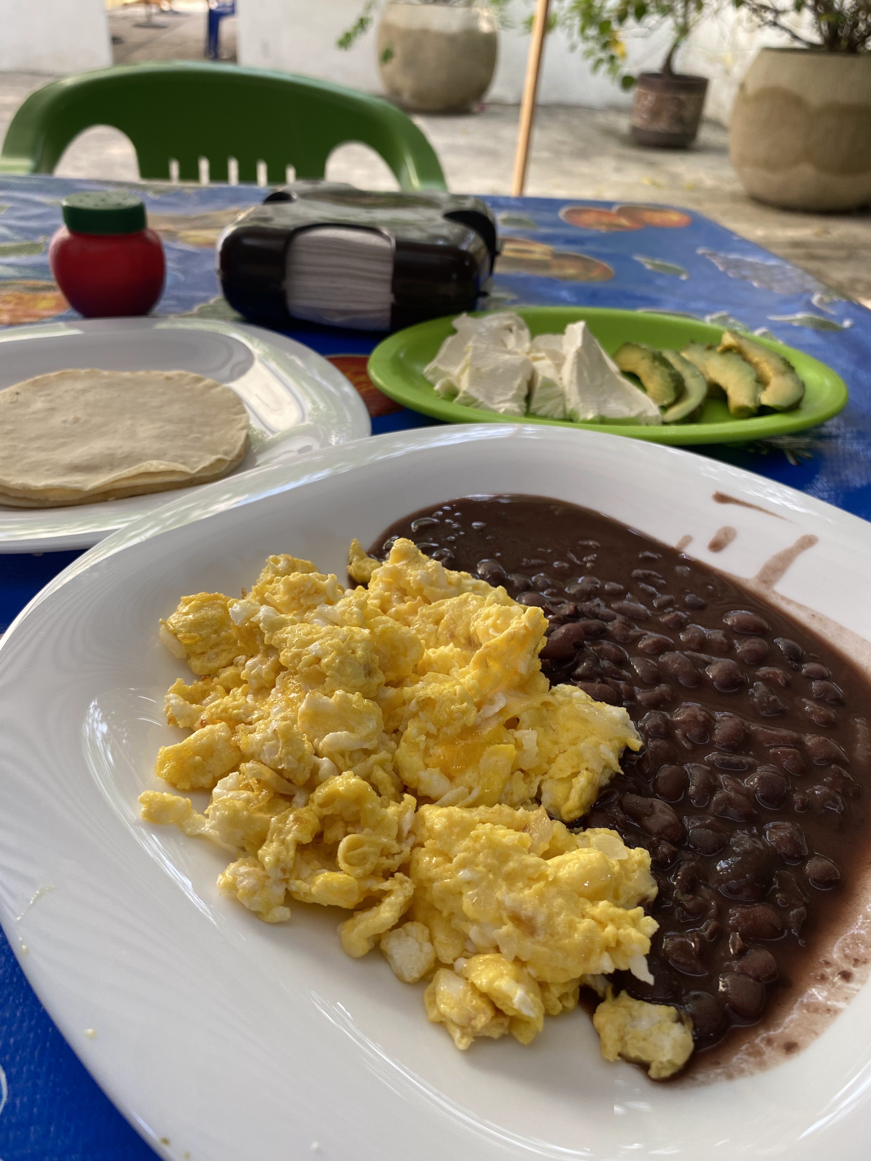 Enchiladas Doña Manuelita image 4