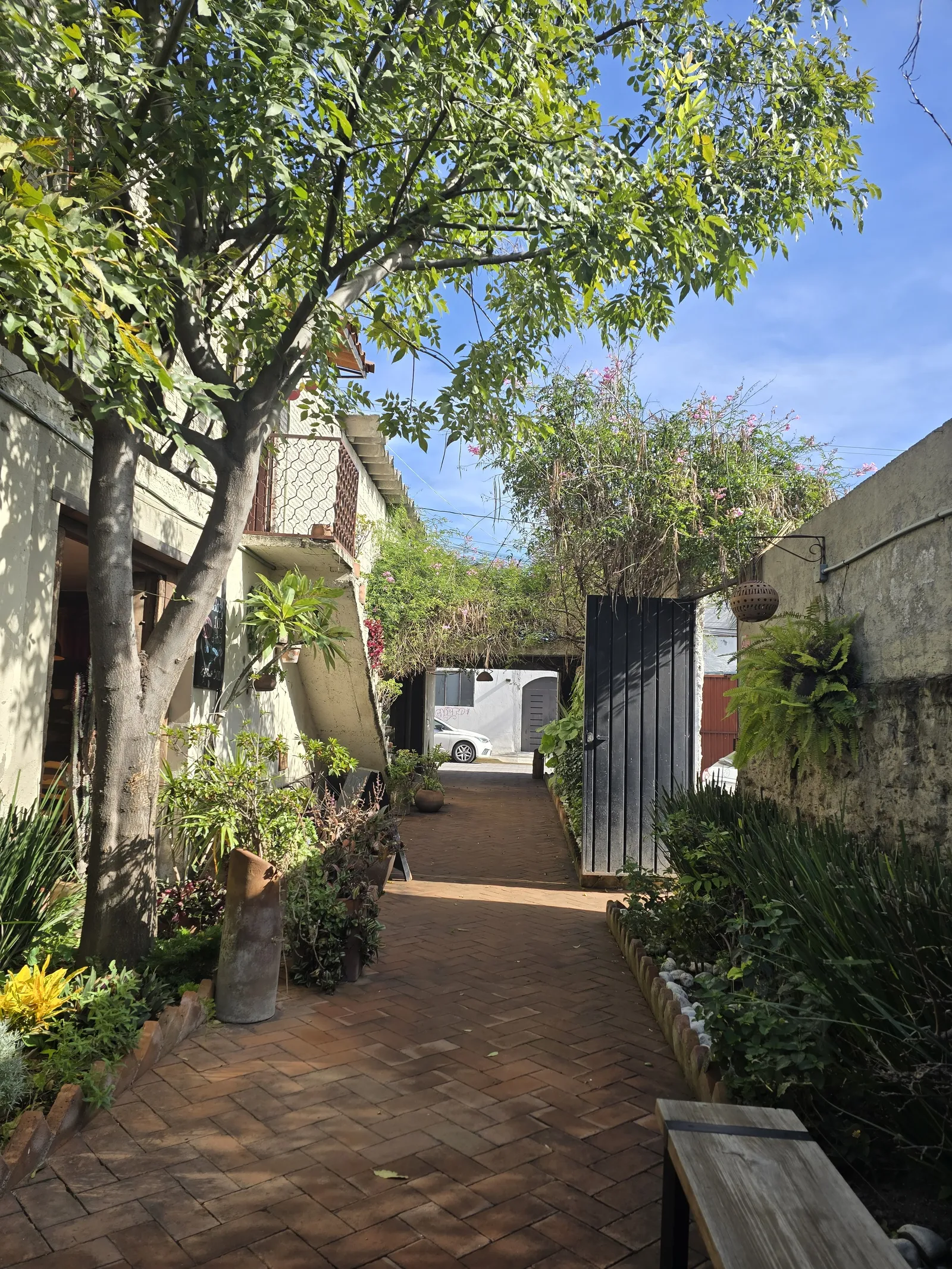 Recaudo image 9