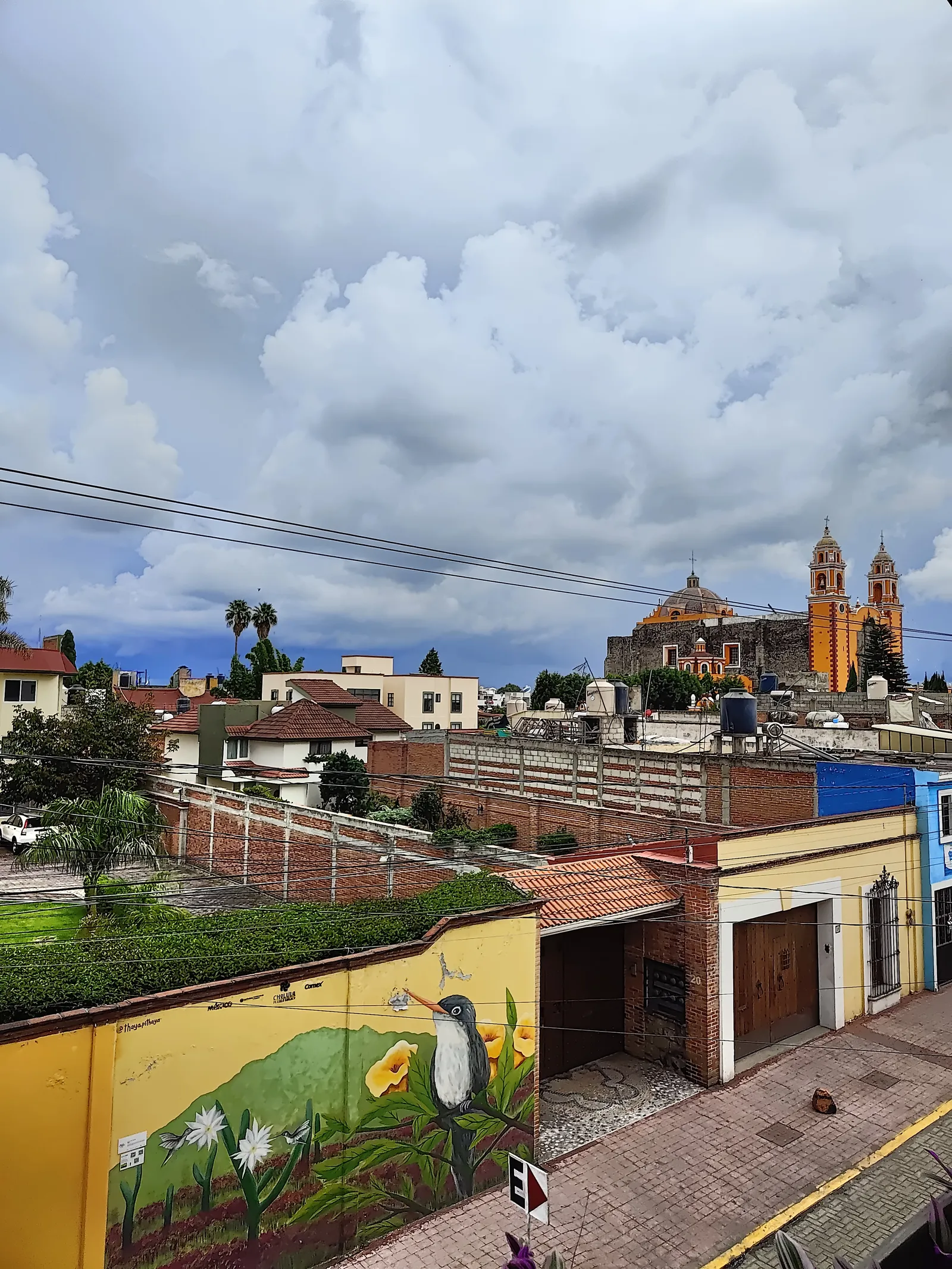 La Cobacha image 10