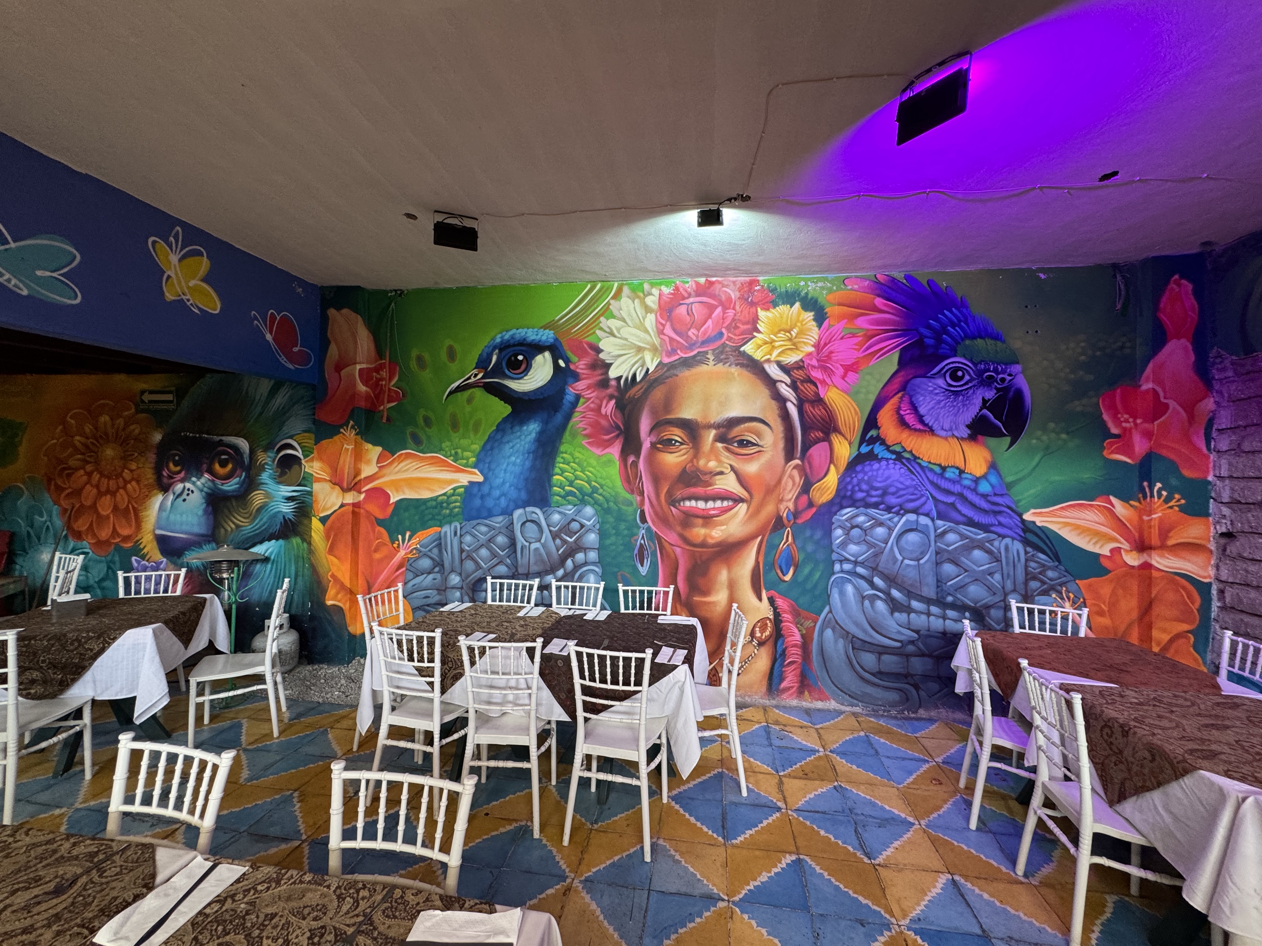 La Casa De Frida Sucursal Pirámide image 4