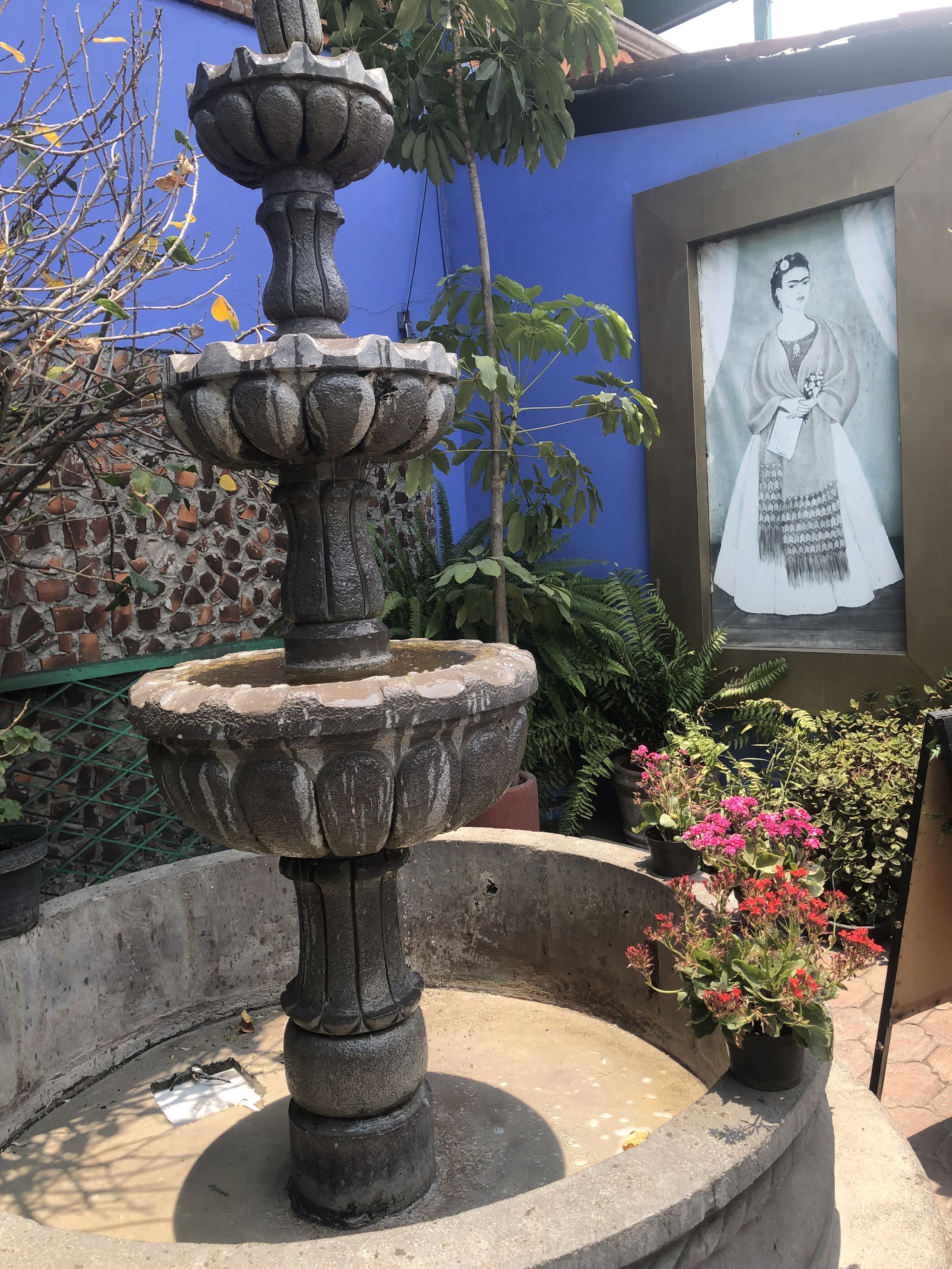 La Casa De Frida Sucursal Pirámide image 5