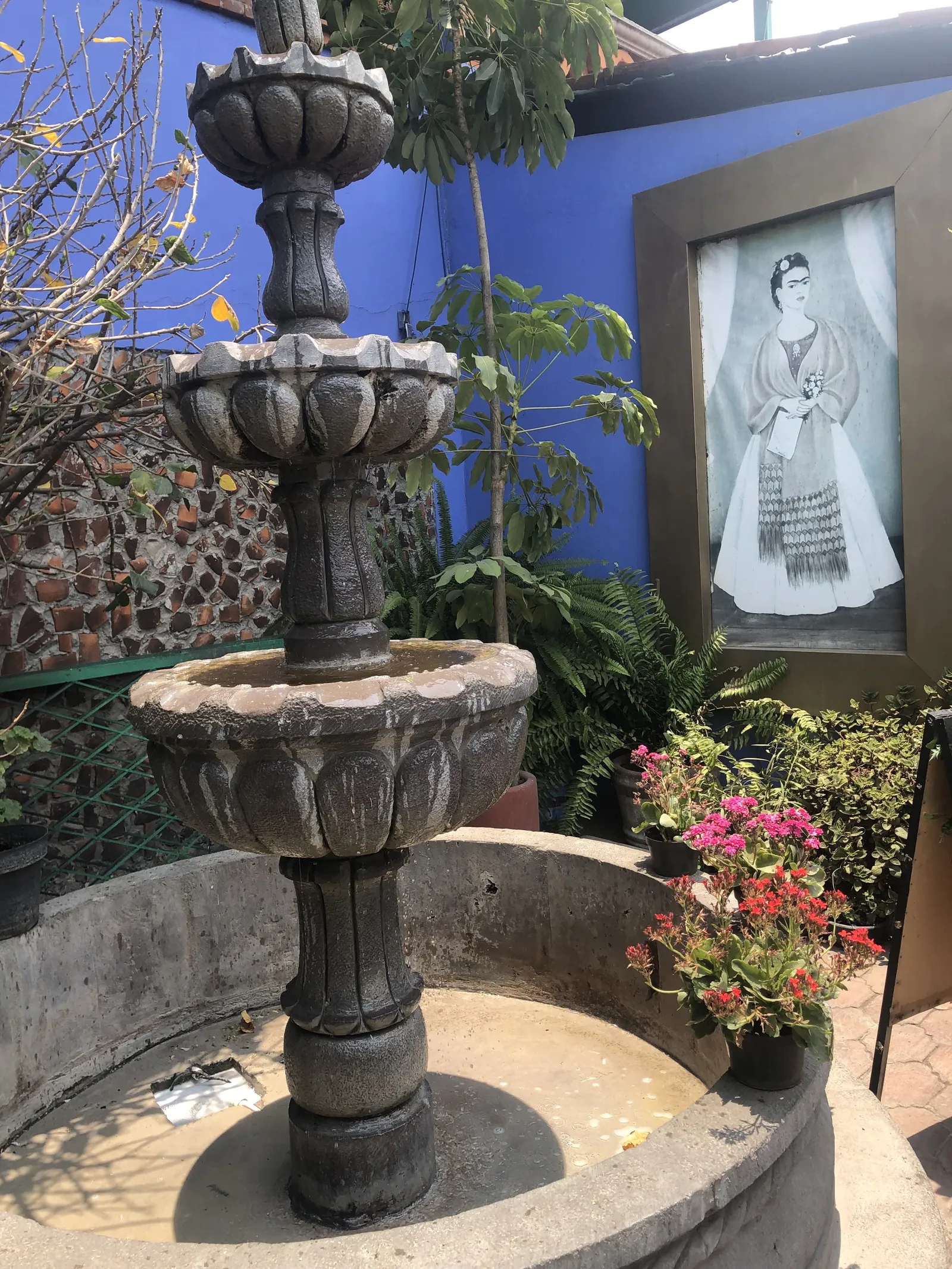 La Casa De Frida Sucursal Pirámide image 5