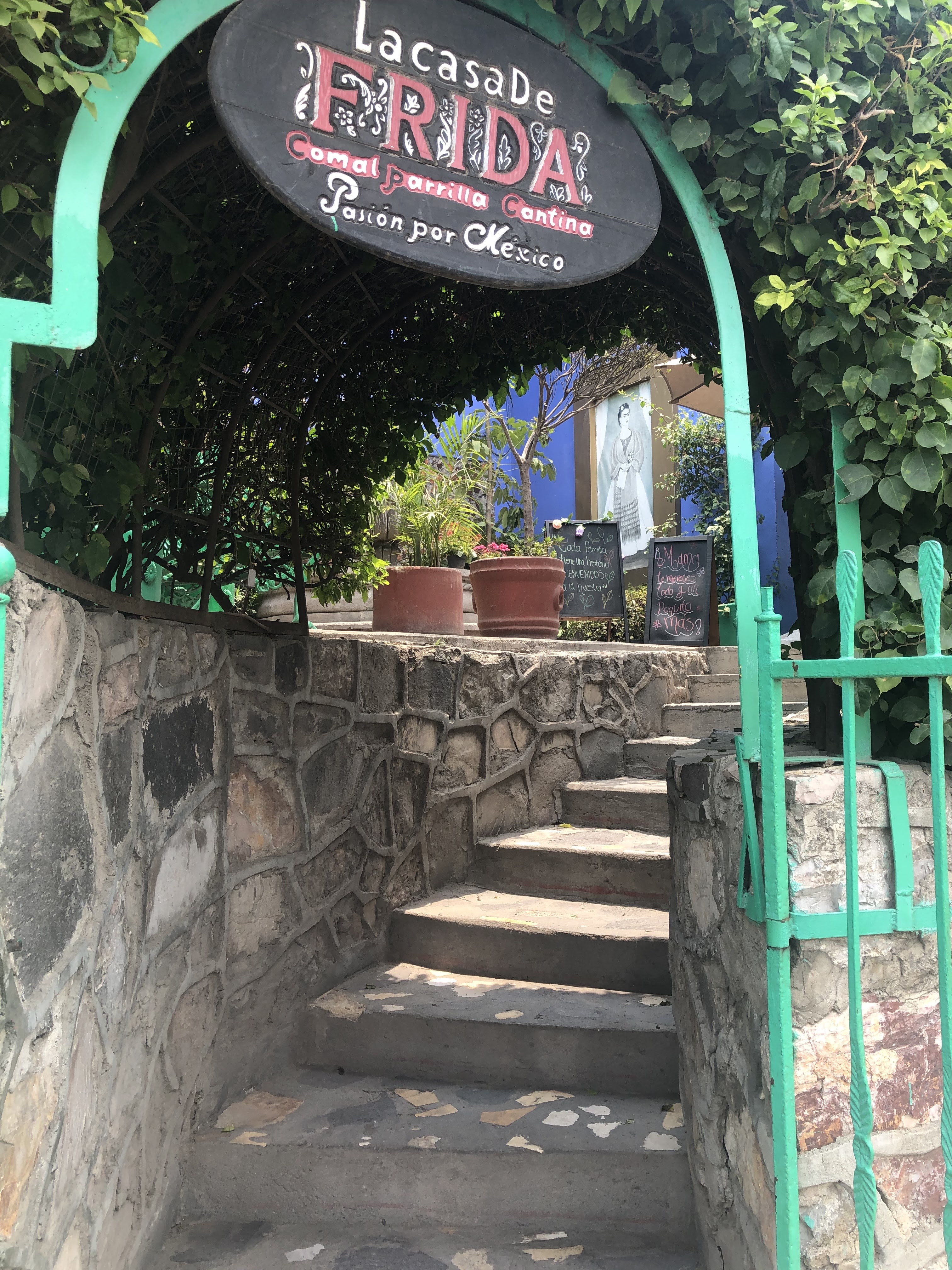 La Casa De Frida Sucursal Pirámide image 9