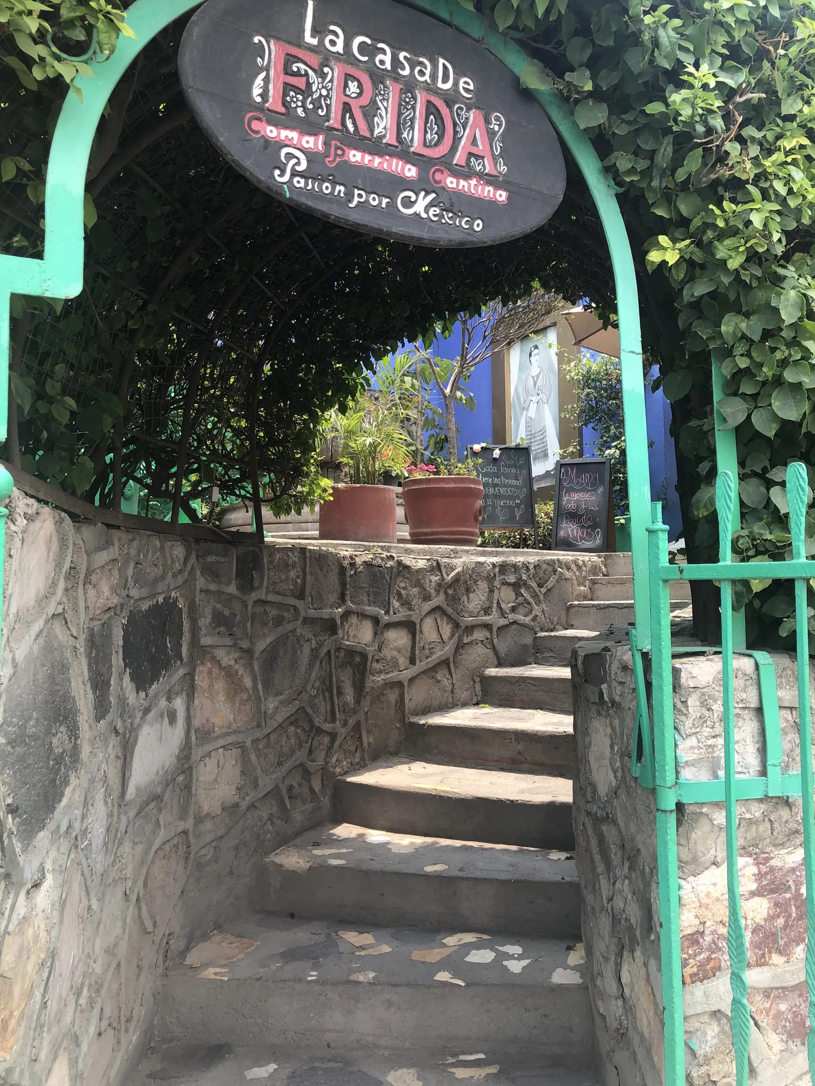 La Casa De Frida Sucursal Pirámide image 9